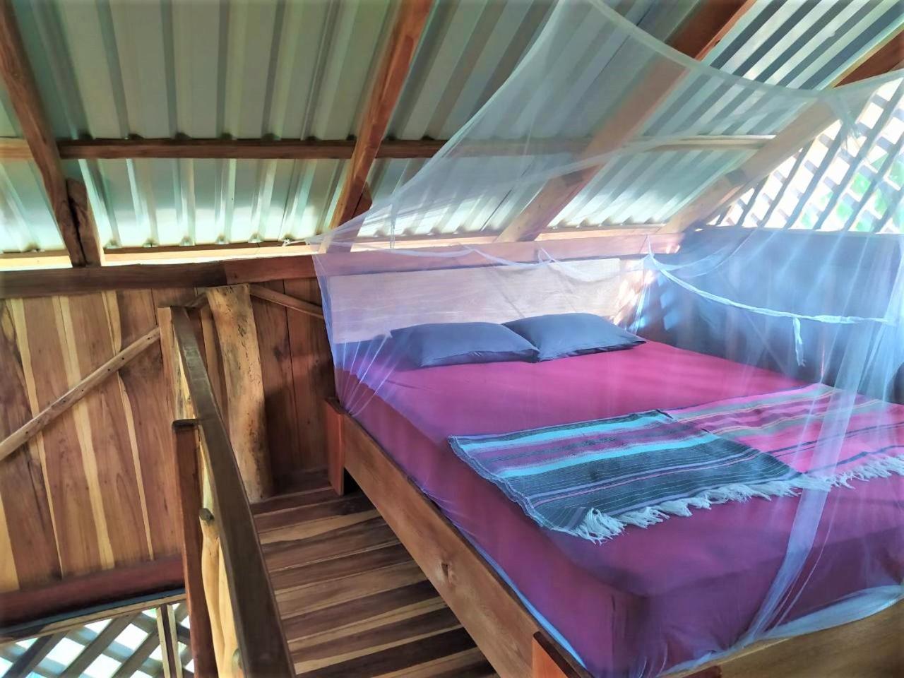Terra NaturaMa - off grid living in the jungle