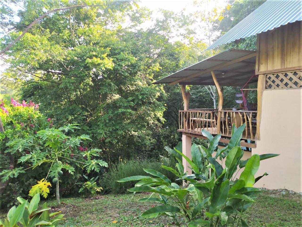 Terra NaturaMa - off grid living in the jungle