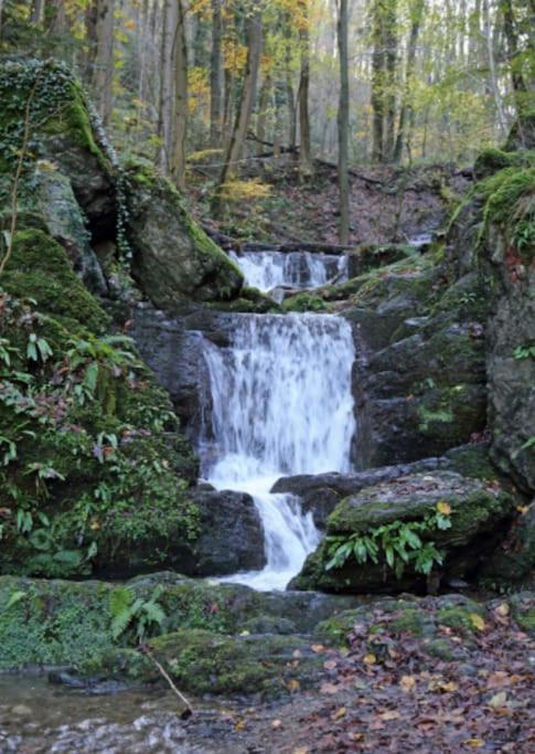 Laissez-vous enchanter par la Vallée de la Meuse
