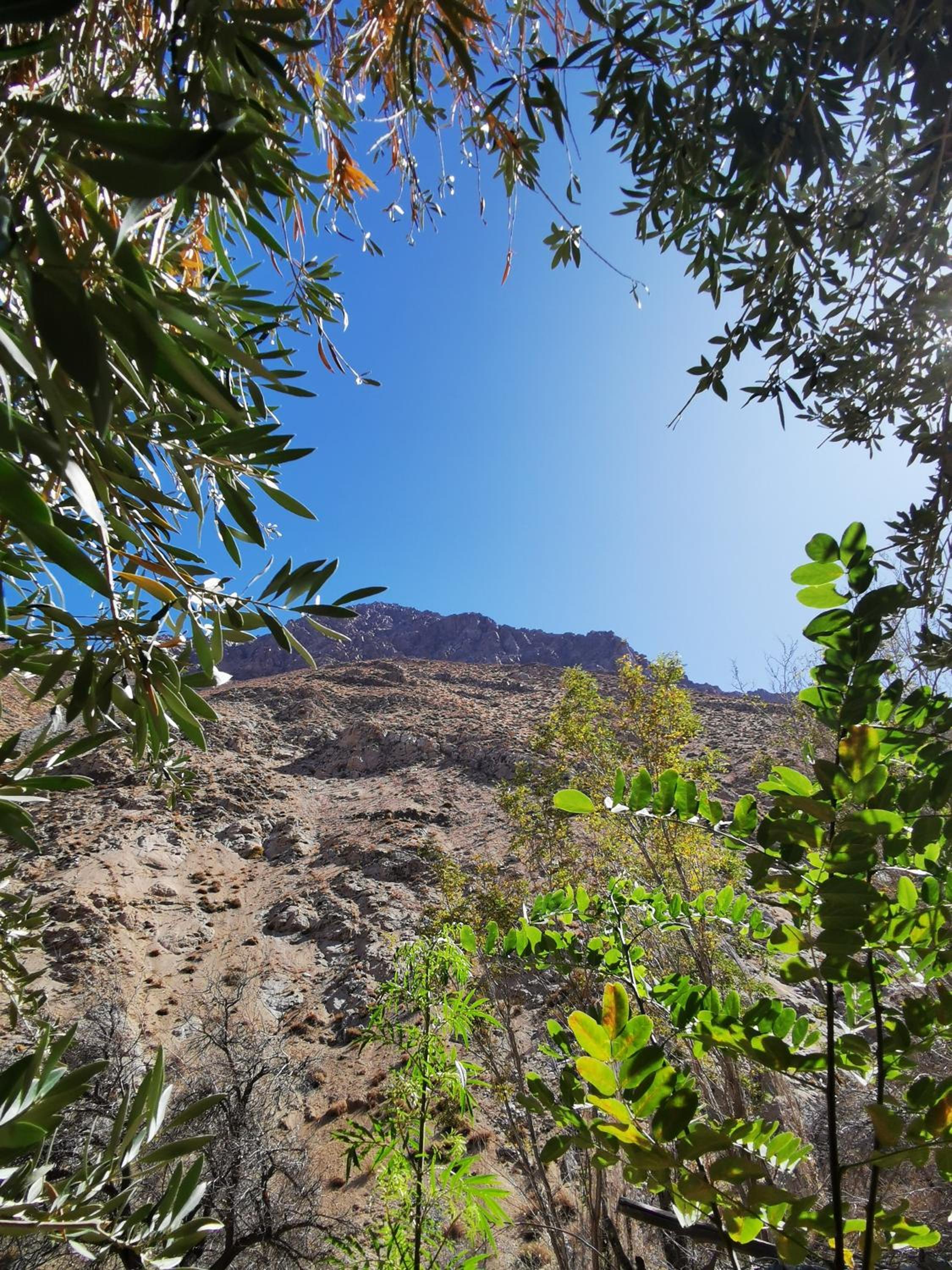Cabaña Alma de Montaña, piscina privada