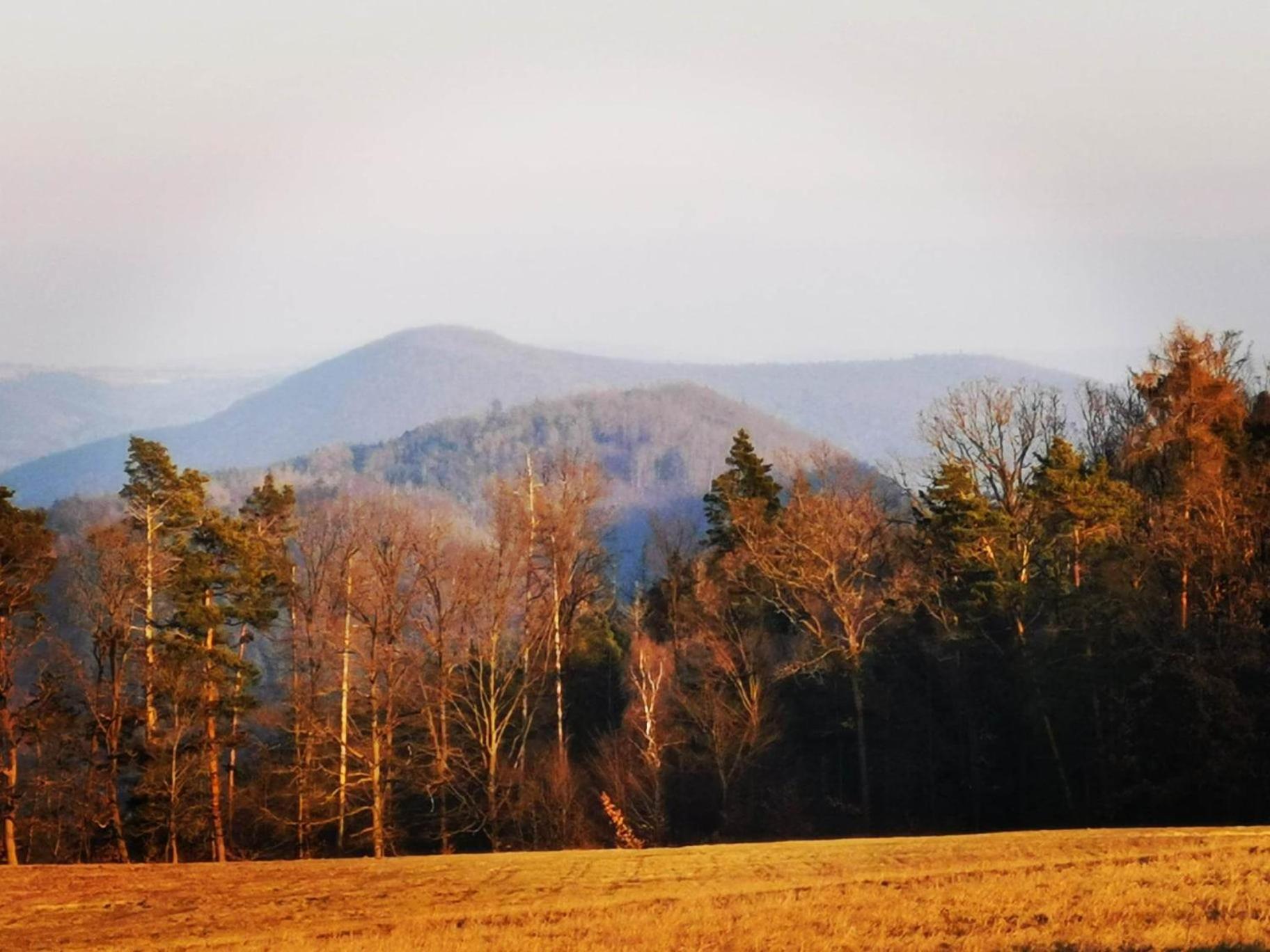 Srub Pod Lípou - Skryje