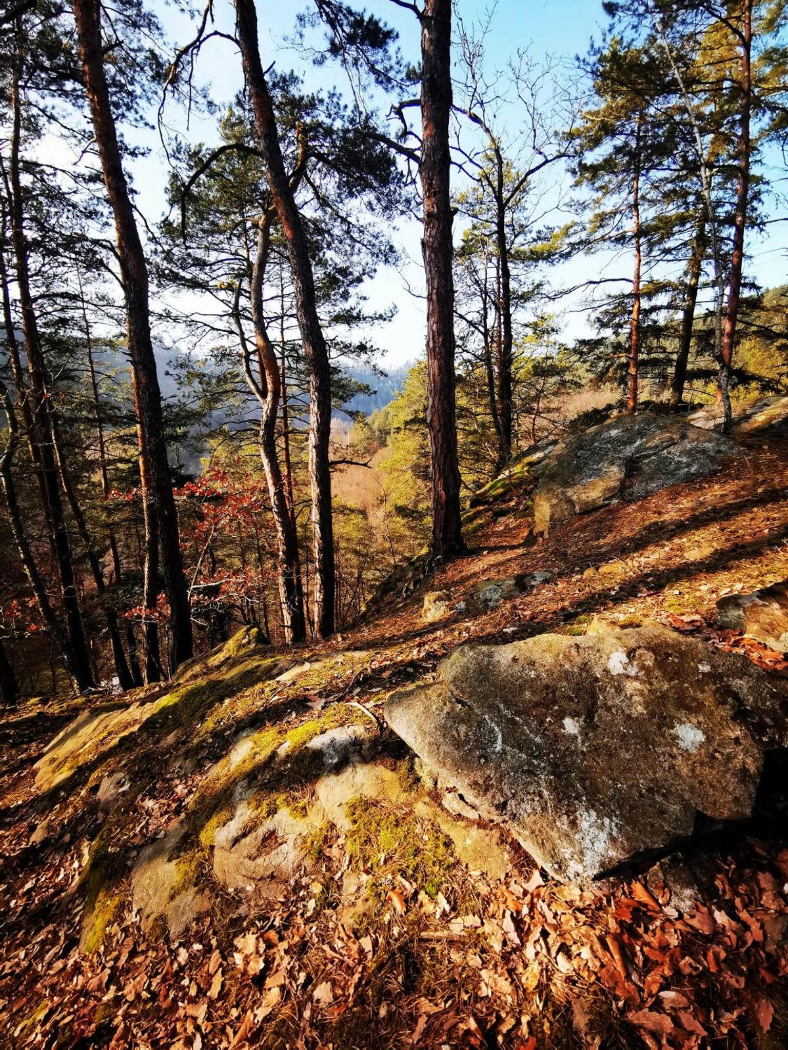 Srub Pod Lípou - Skryje