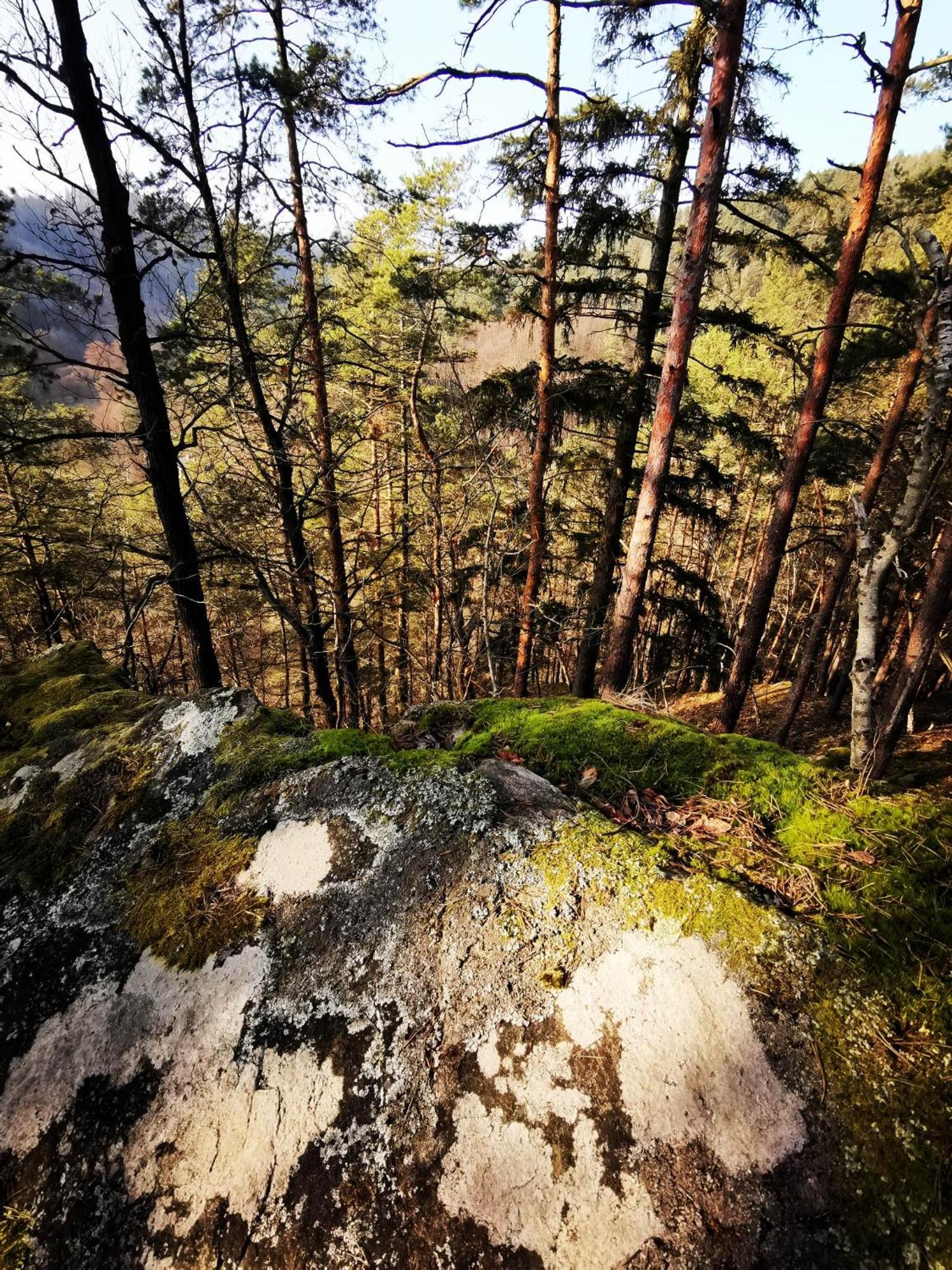 Srub Pod Lípou - Skryje