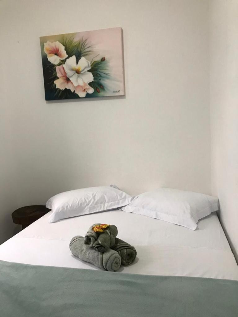 Casa Aconchego das Pitayas