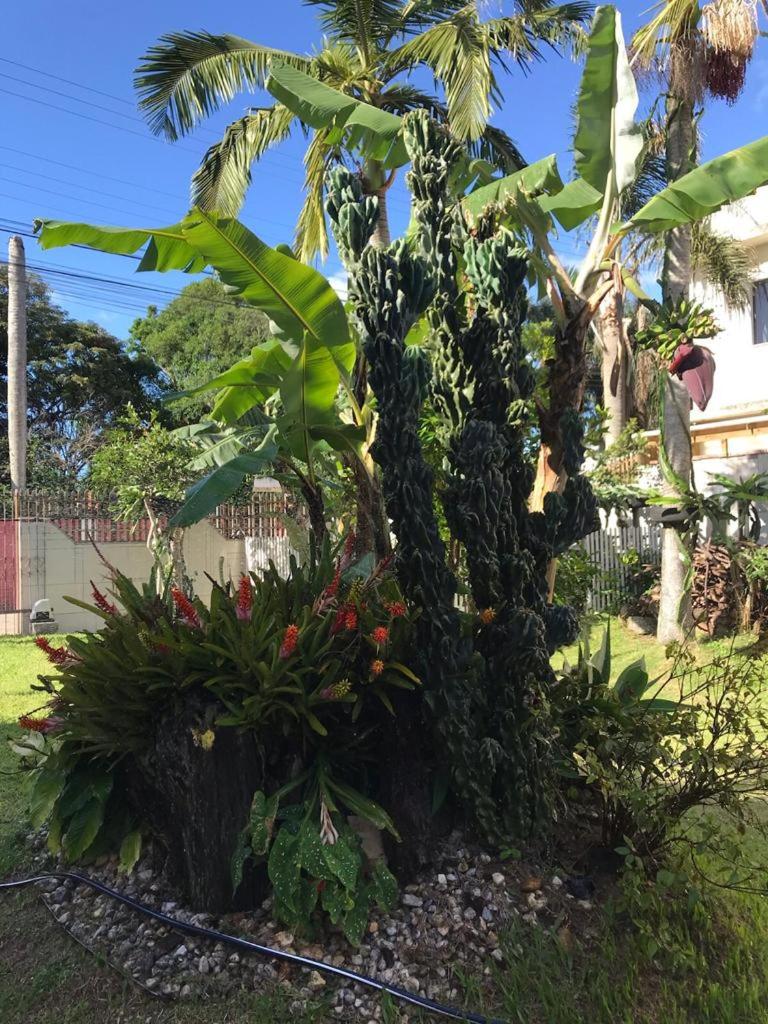 Casa Aconchego das Pitayas