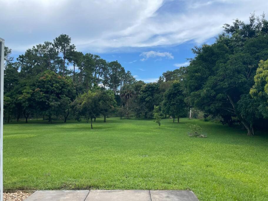 Private Finca on 2 Acres with Pool view 5