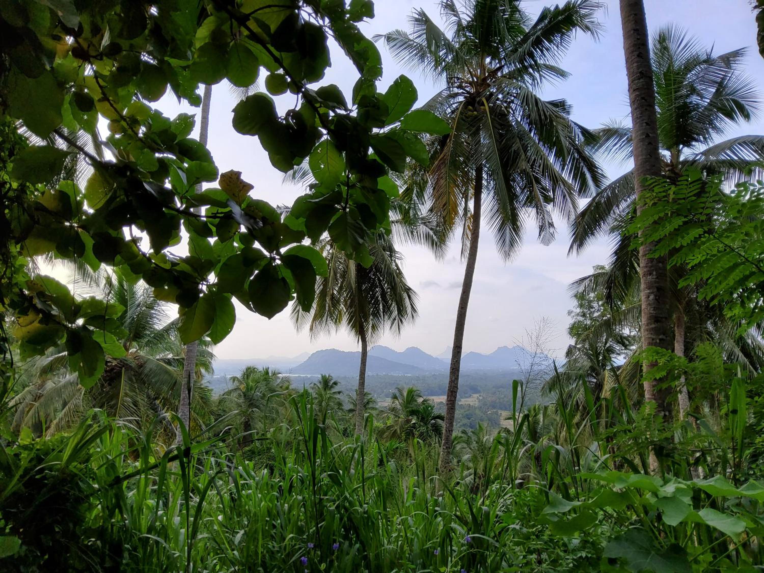 The Hideaway view 3