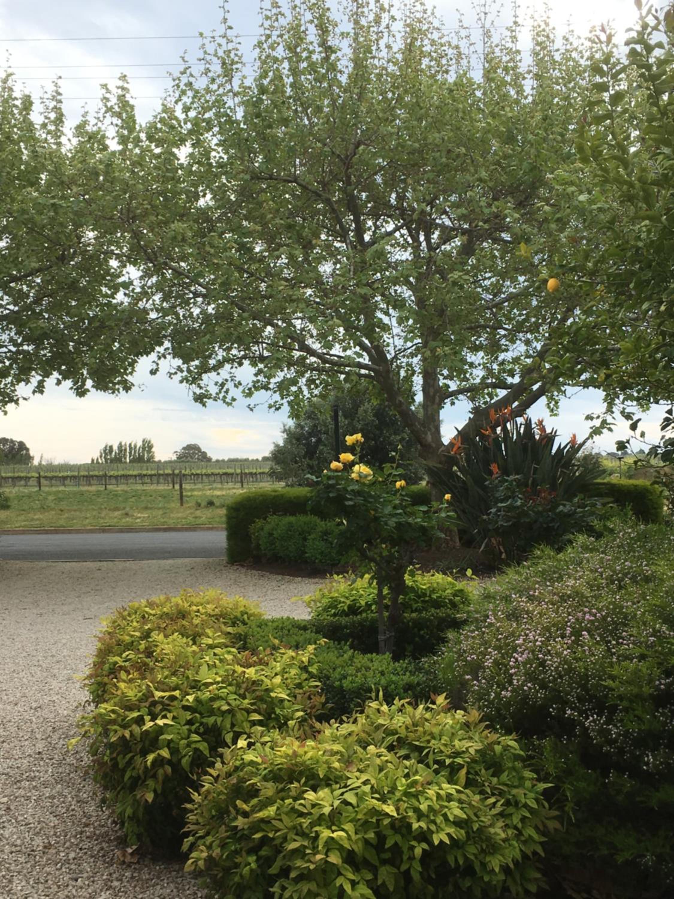 Wine and Roses Bed and Breakfast