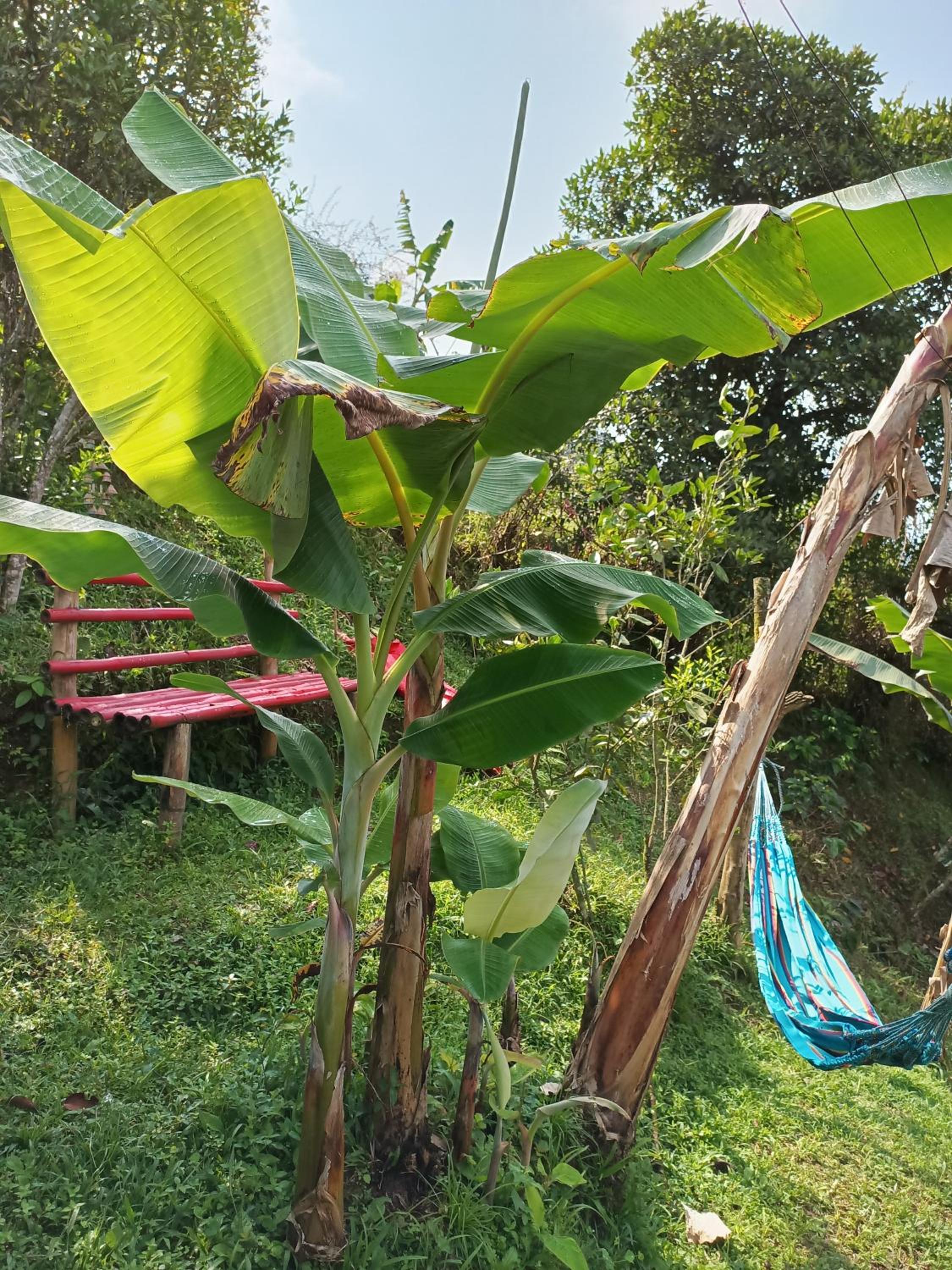 Cabaña en el Campo