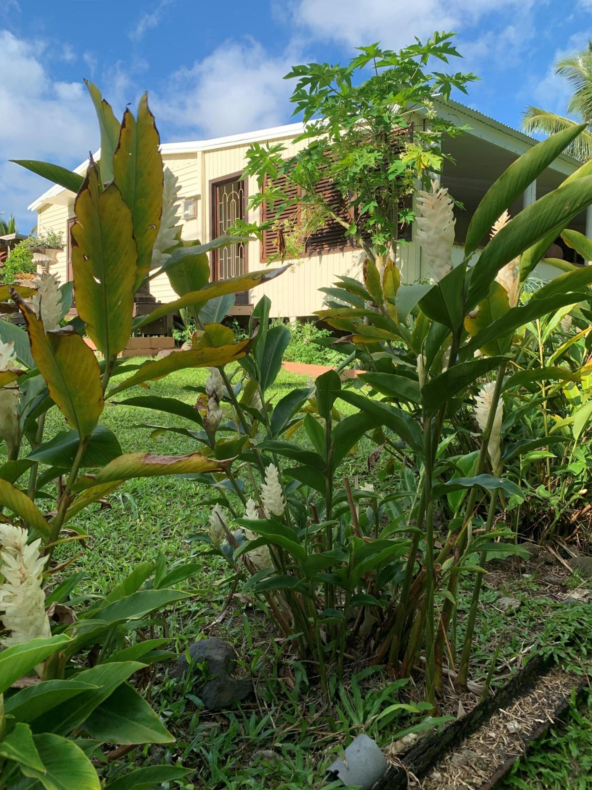 Bella Casa