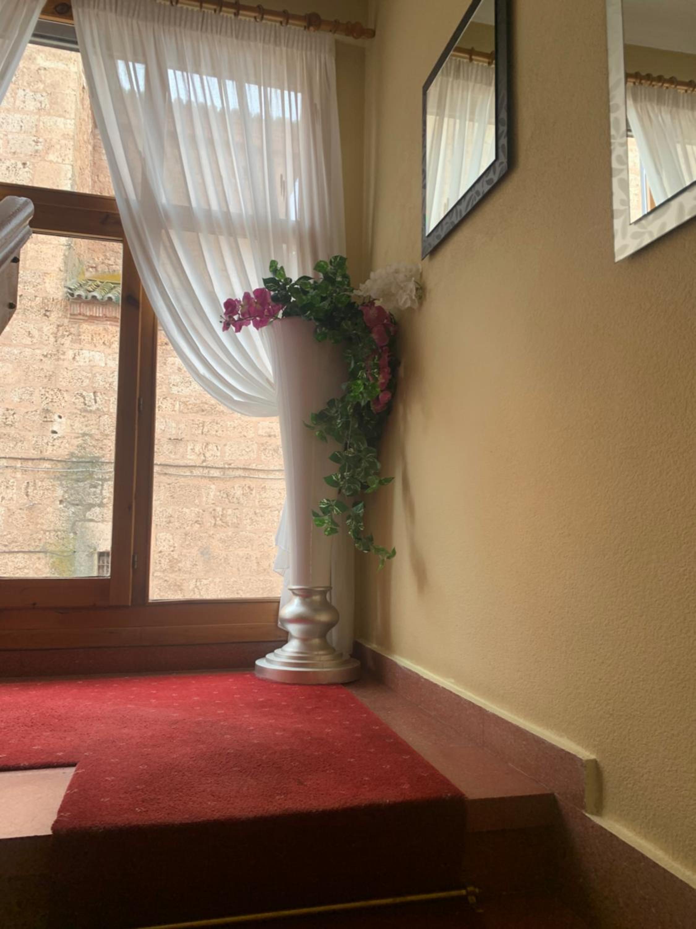 Hostal Docar