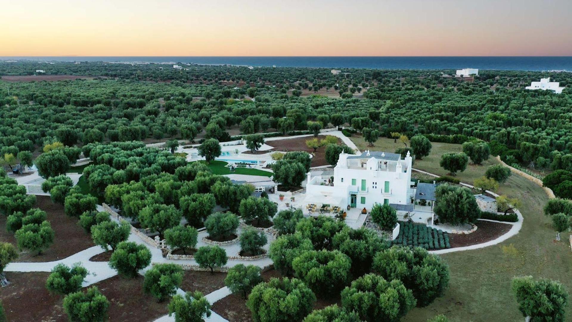 Boutique Hotel Masseria Sottomasi view 2