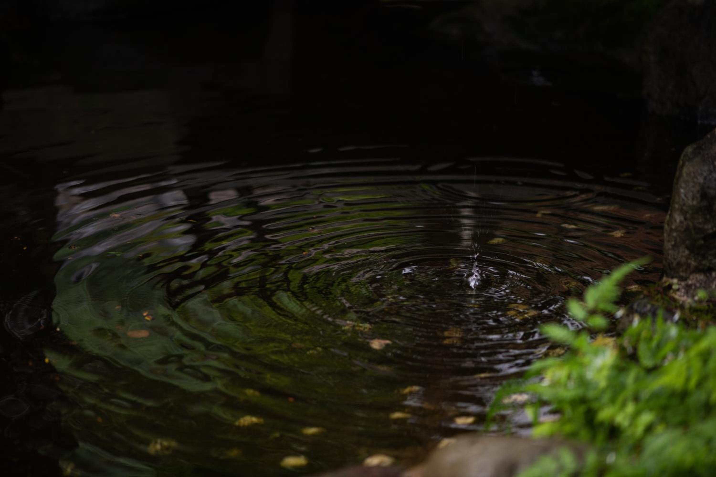 Sakahijiri Nikko