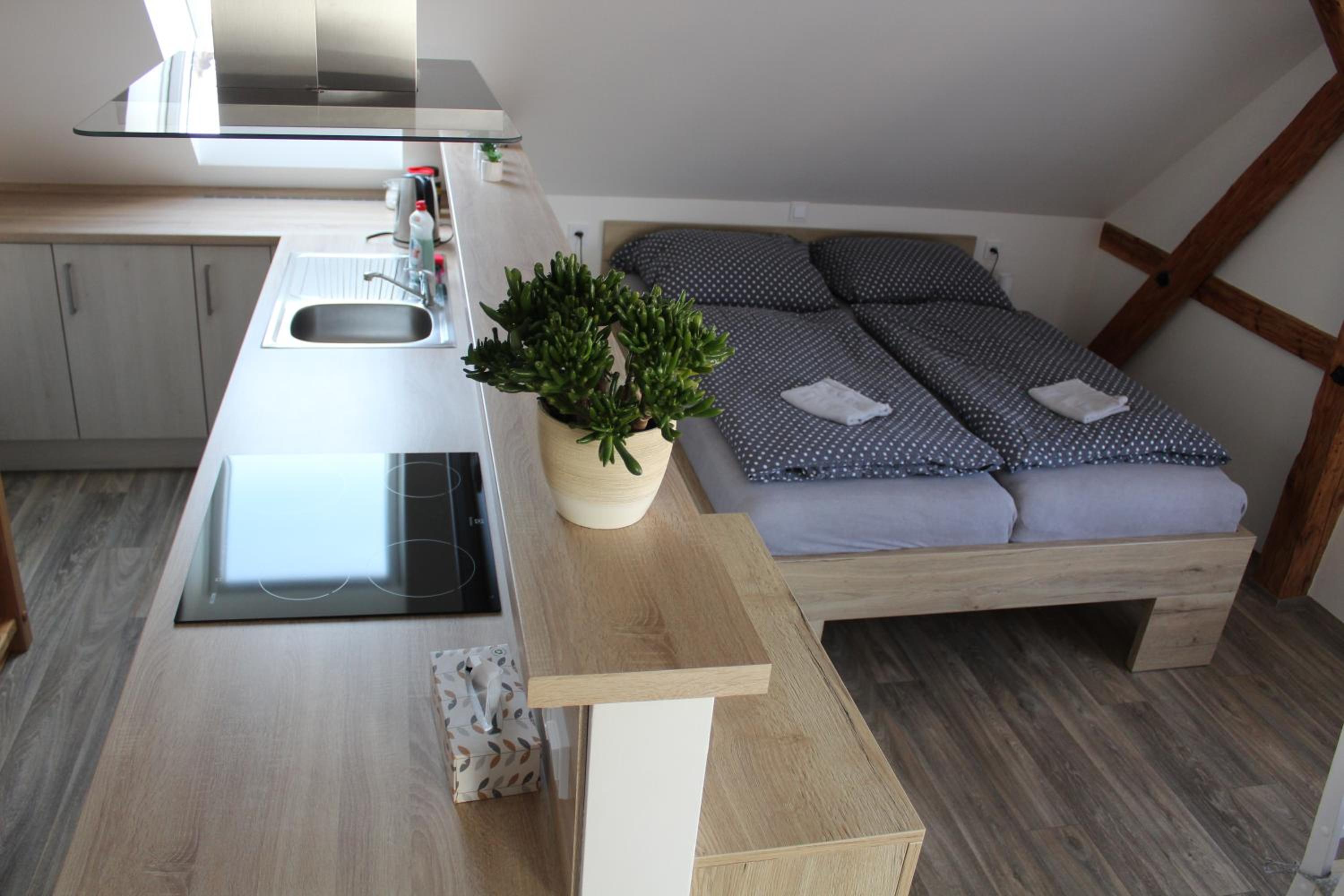 Apartmán U10