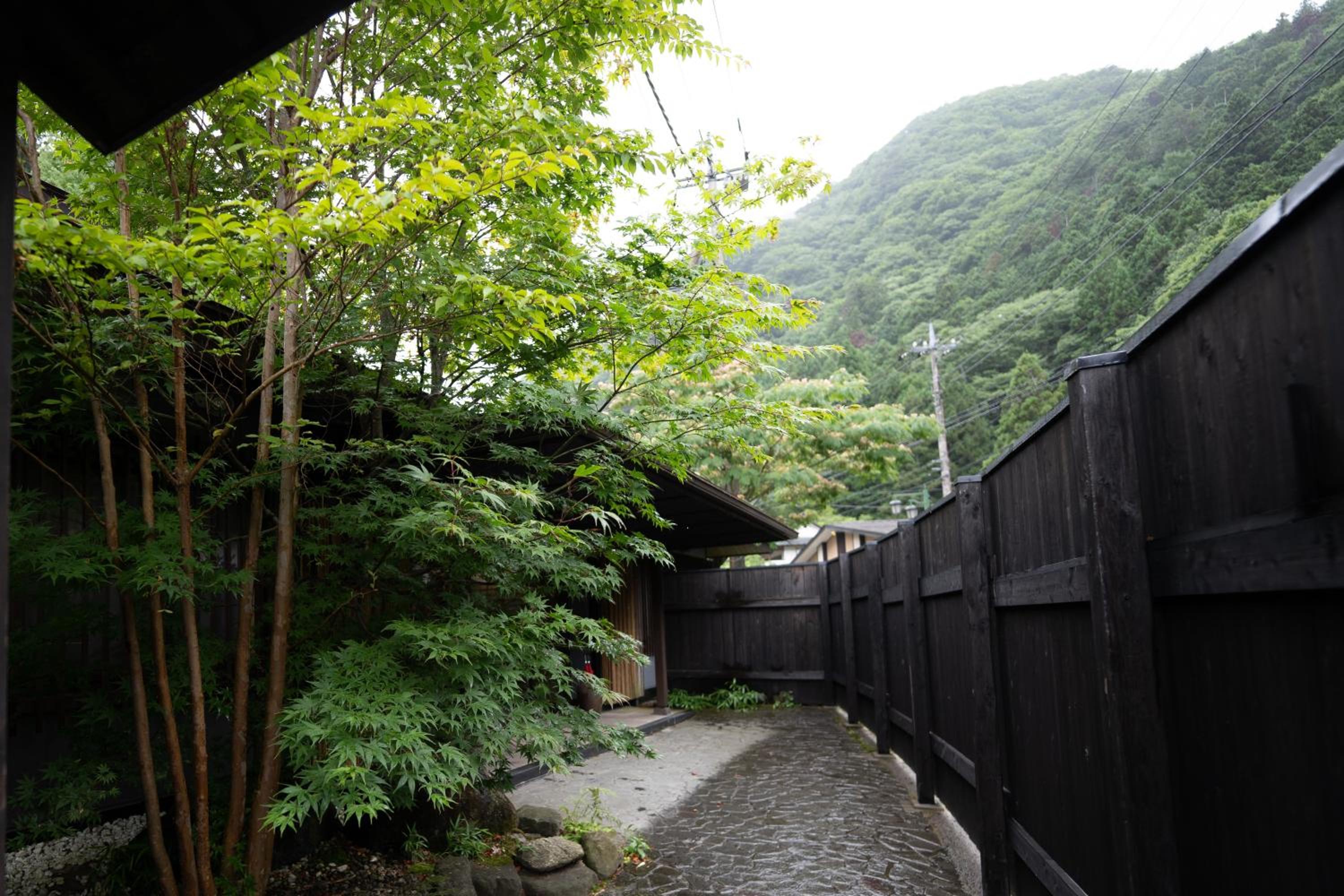 Sakahijiri Nikko