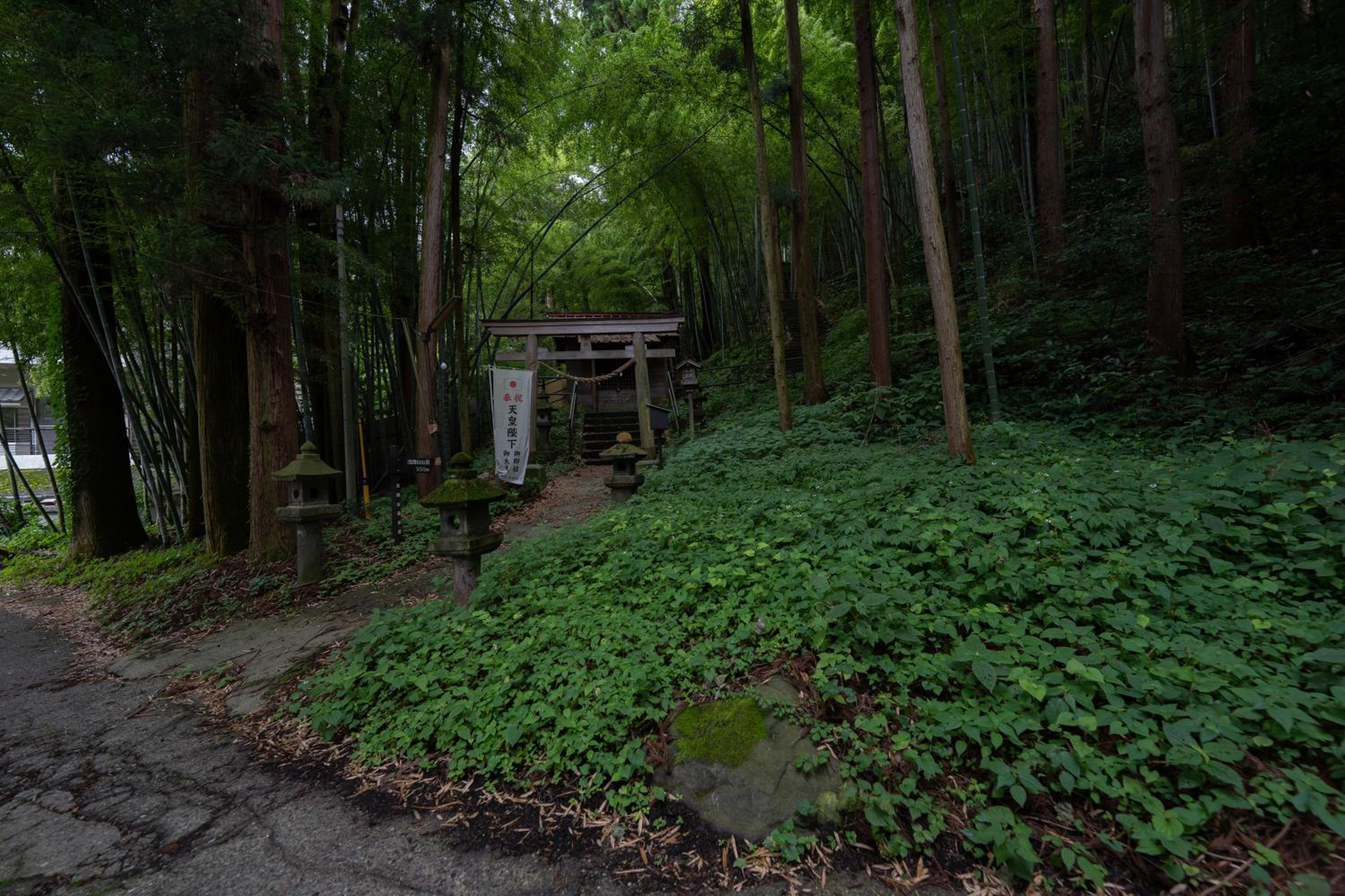 Sakahijiri Nikko