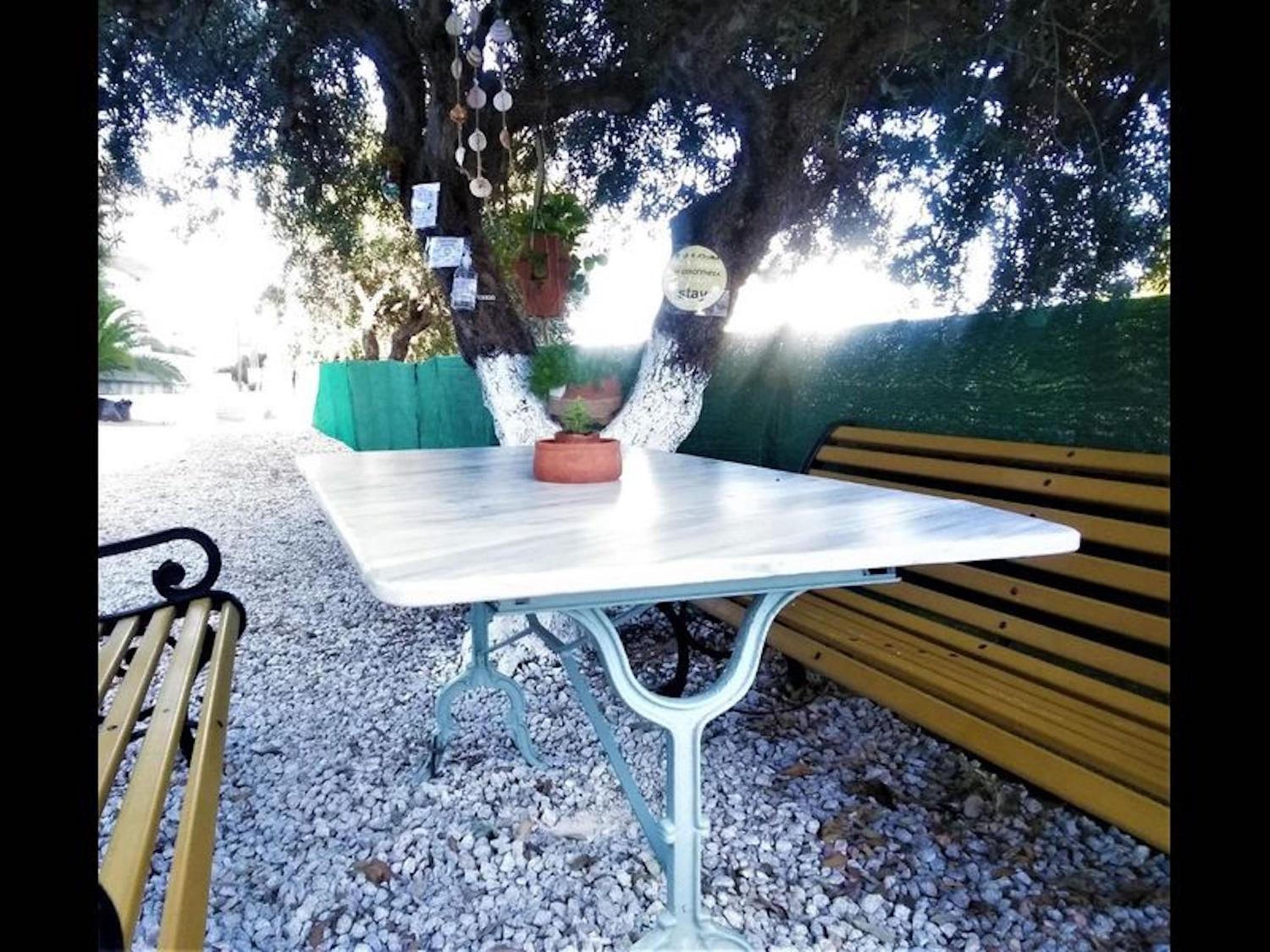 Apartments with garden view, Creta, Ierapetra view 3