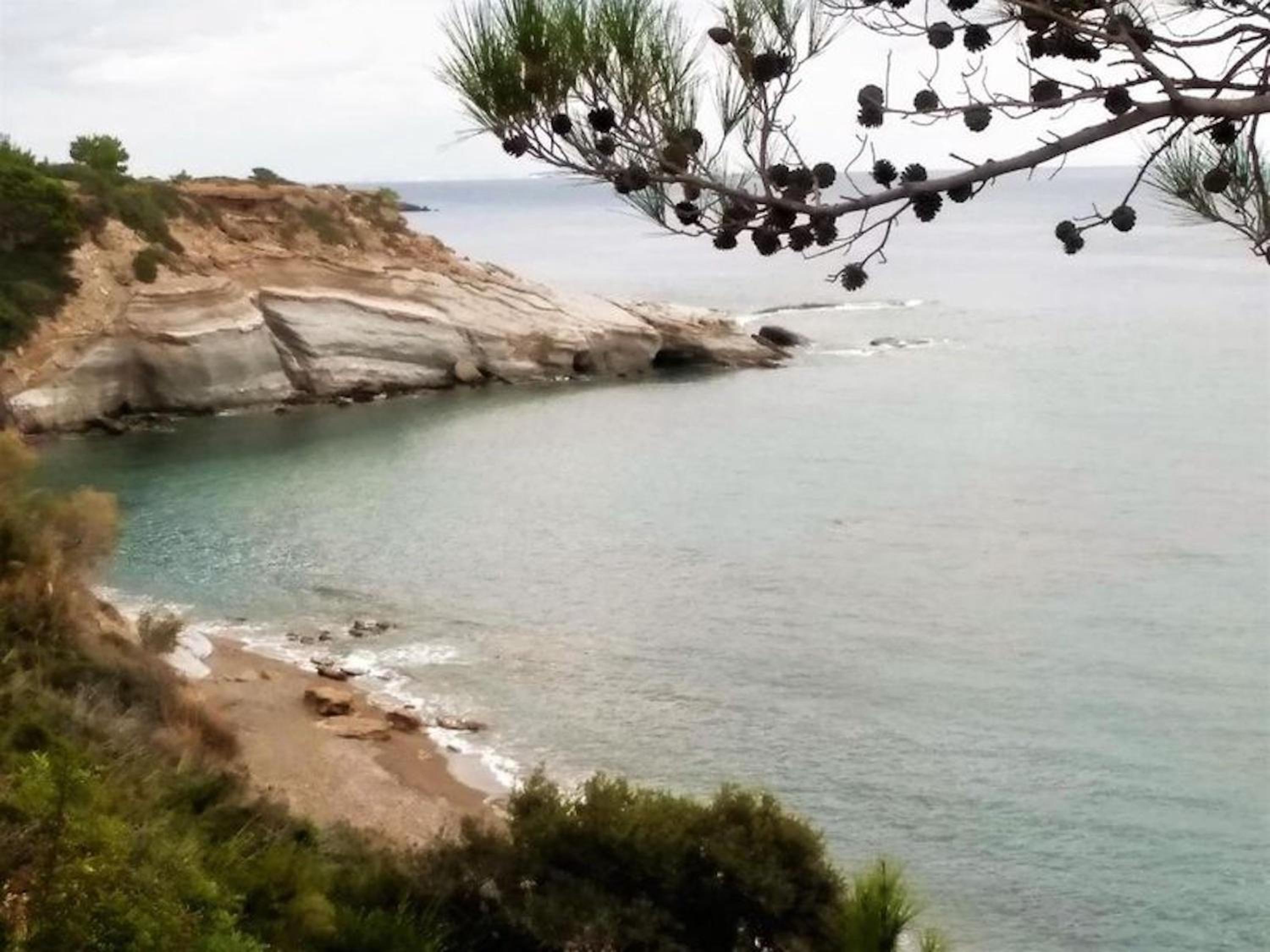 Apartments with garden view, Creta, Ierapetra photo 2