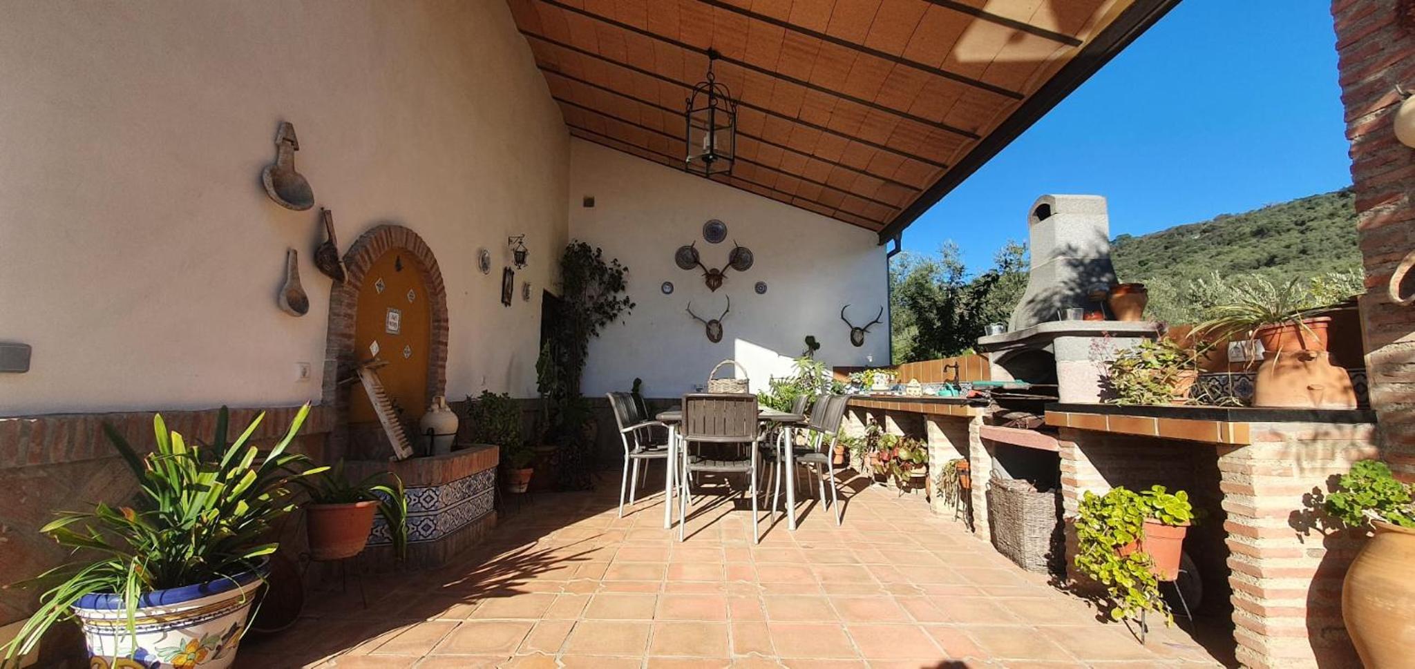 Huerta Carrión, Finca en El Pedroso view 5