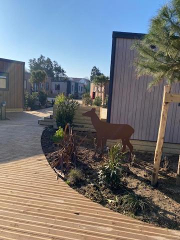 Camping de la Mer