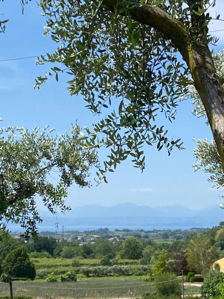 Residenza Vesentini