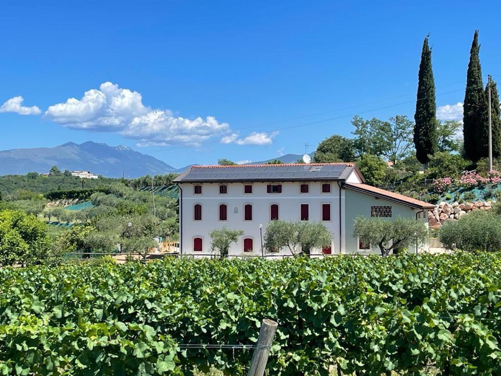 Residenza Vesentini
