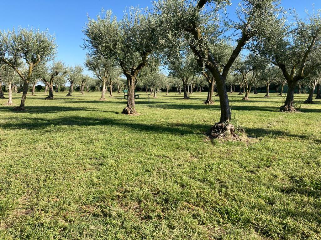 Residenza Vesentini