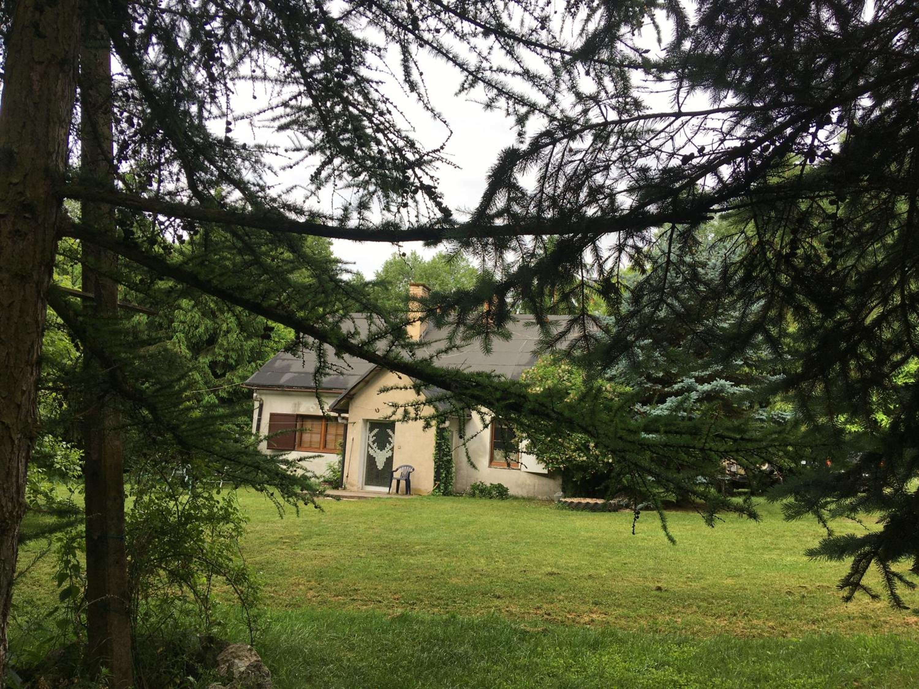 Photo 22