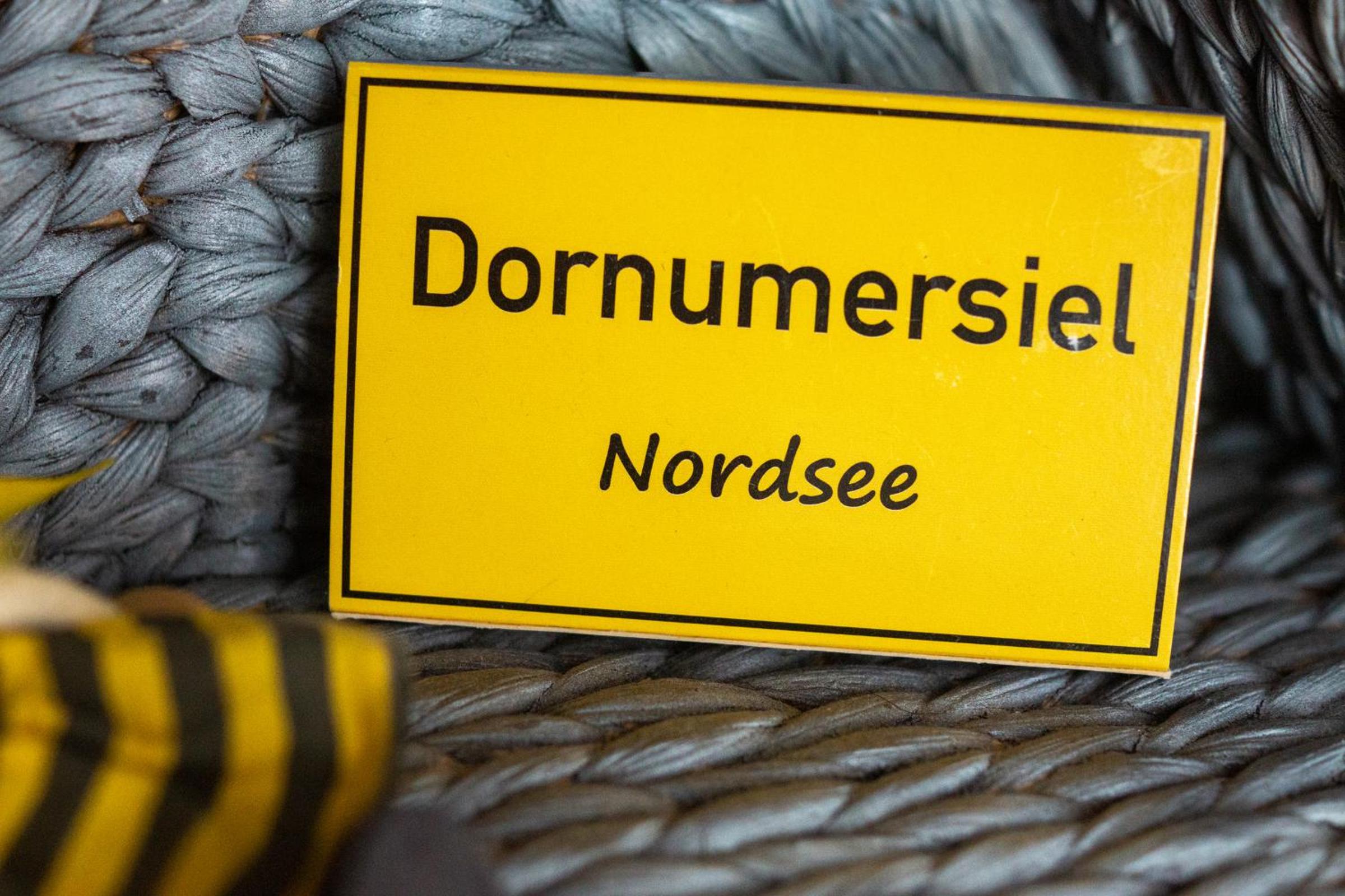 Friesenbiene