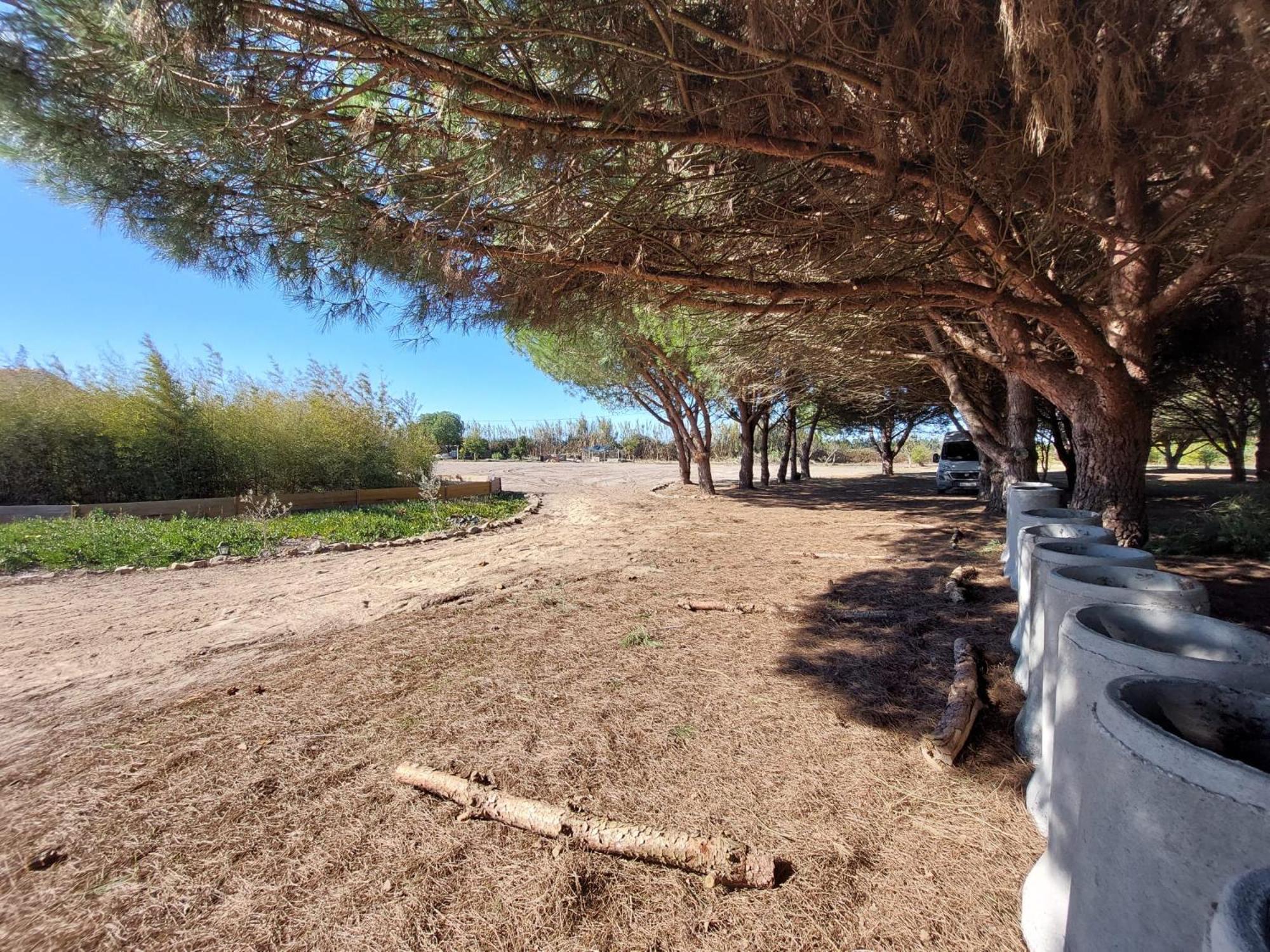 Pine 3 Inn, holiday home, activities and more view 3