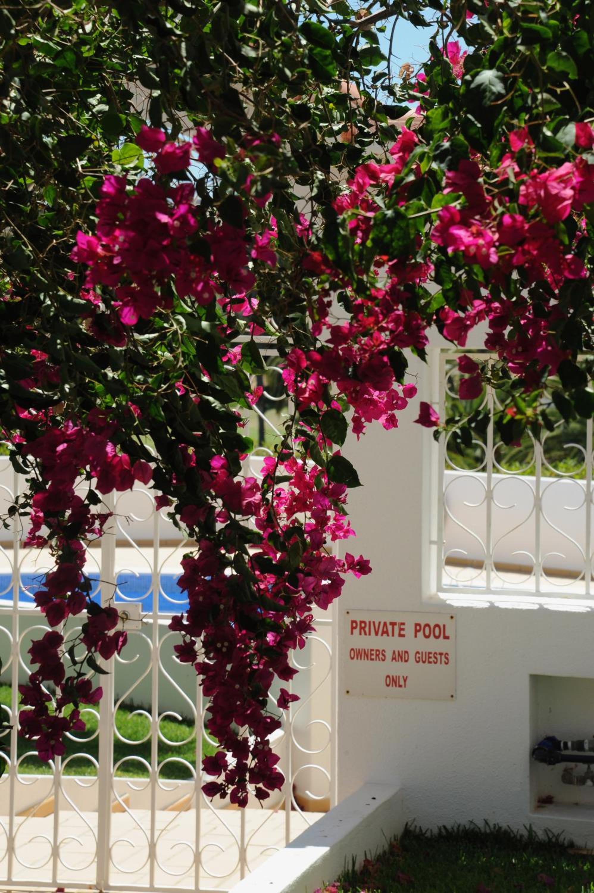 Renovated Vale do Milho Golf Apartment with sea view