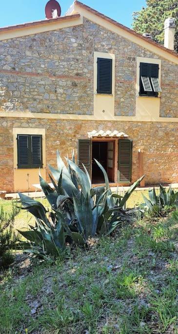 Casa Vacanze Podere Sant'Alfonso view 3