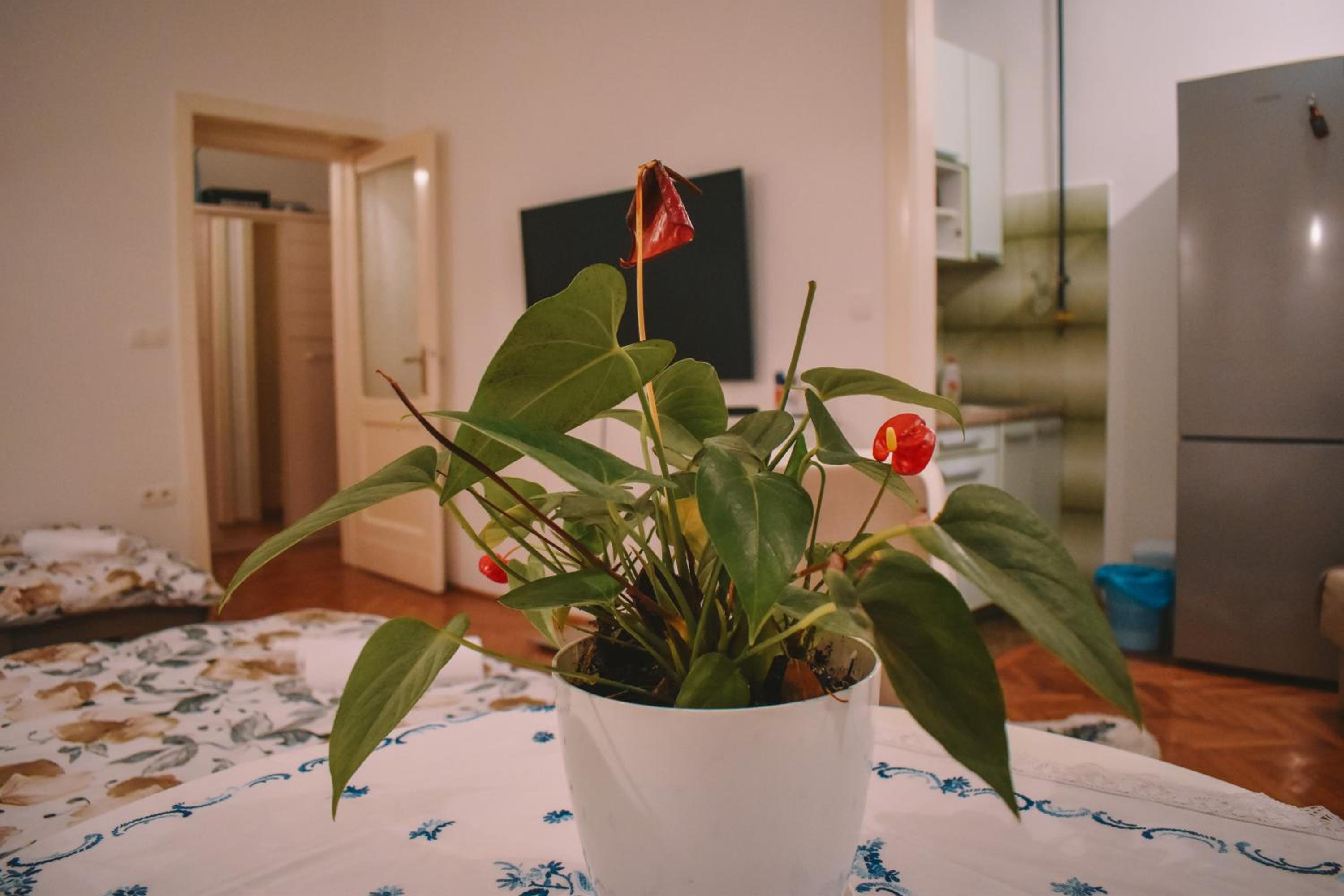 Nina Apartment