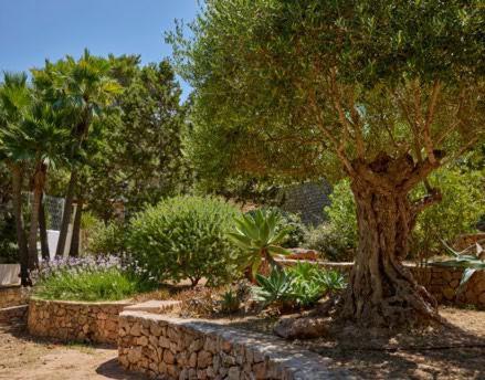 Cala Vadella