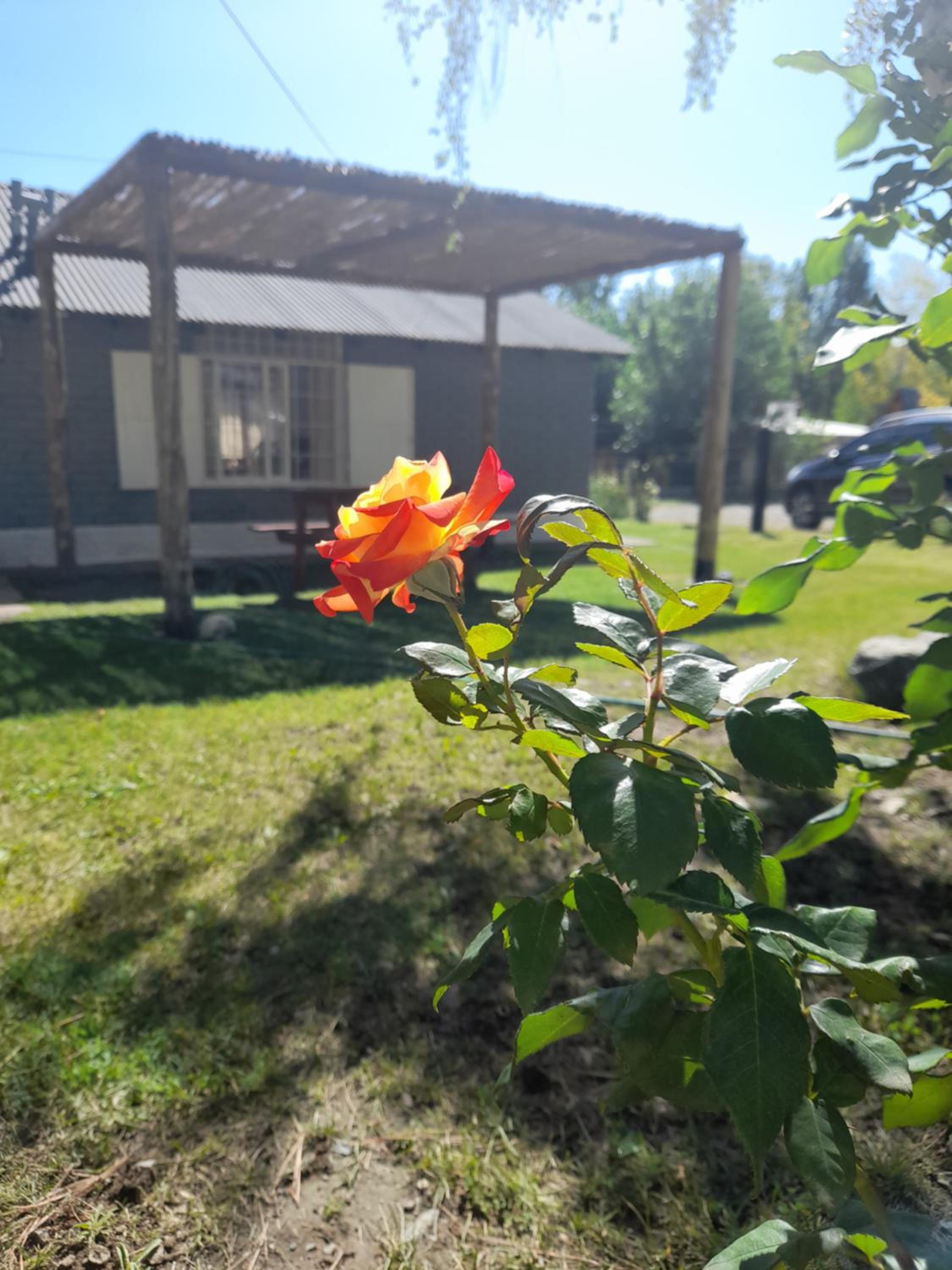 Complejo El Tata