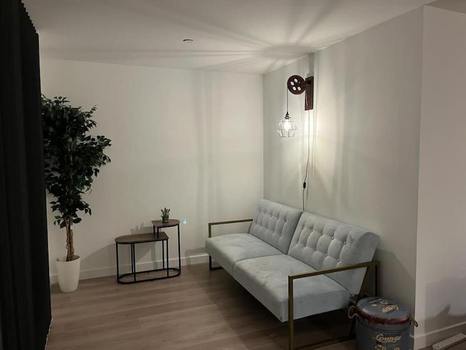 Bayard Luxe 2 Bedroom Penthouse Duplex