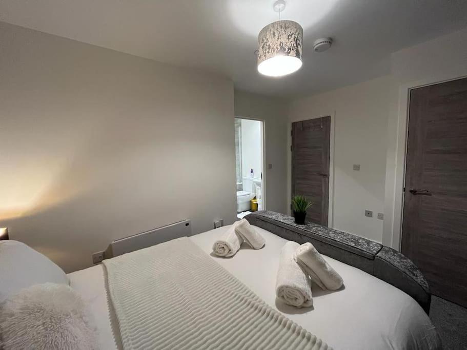 Bayard Luxe 2 Bedroom Penthouse Duplex