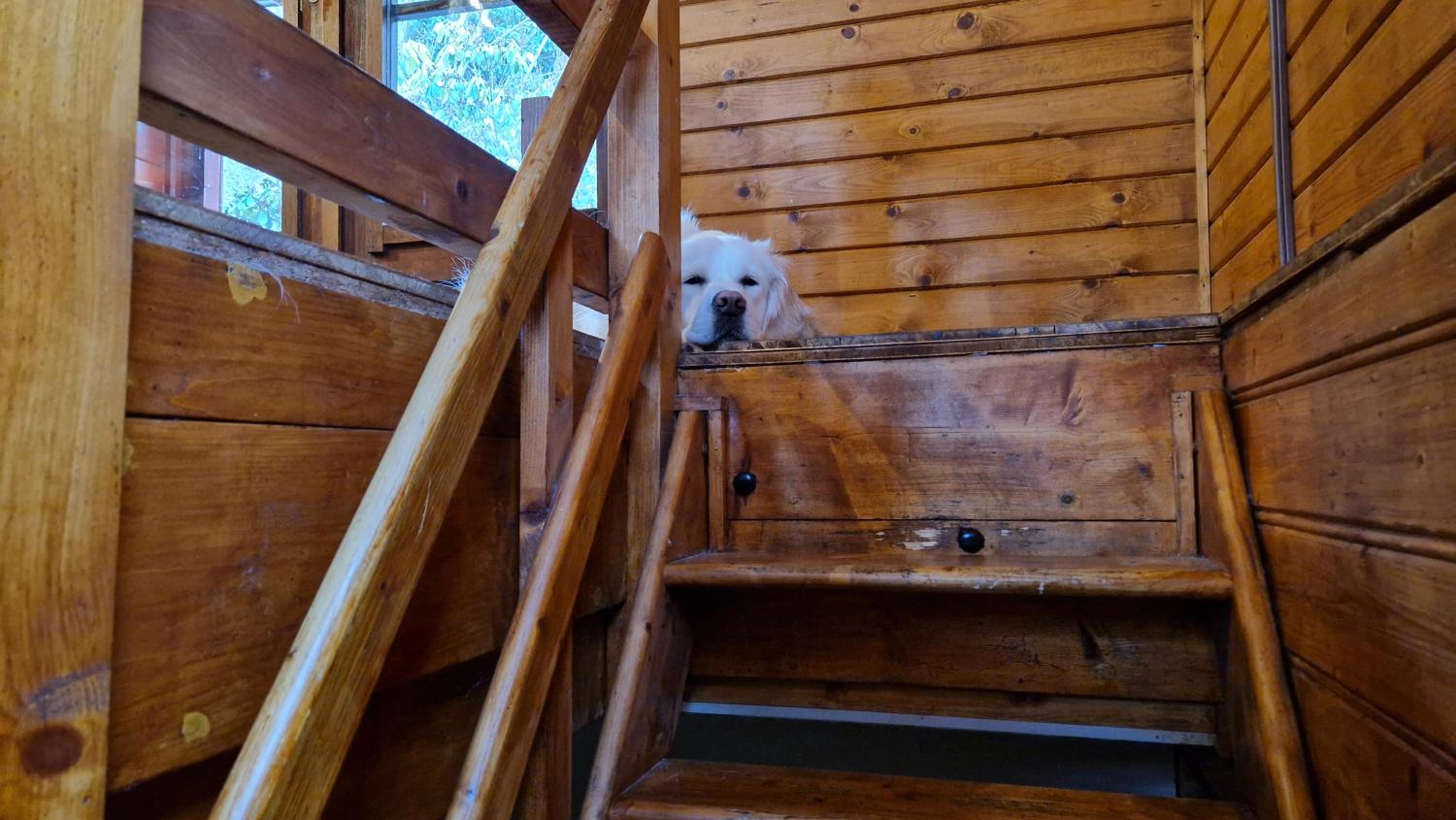 Chalet Coo