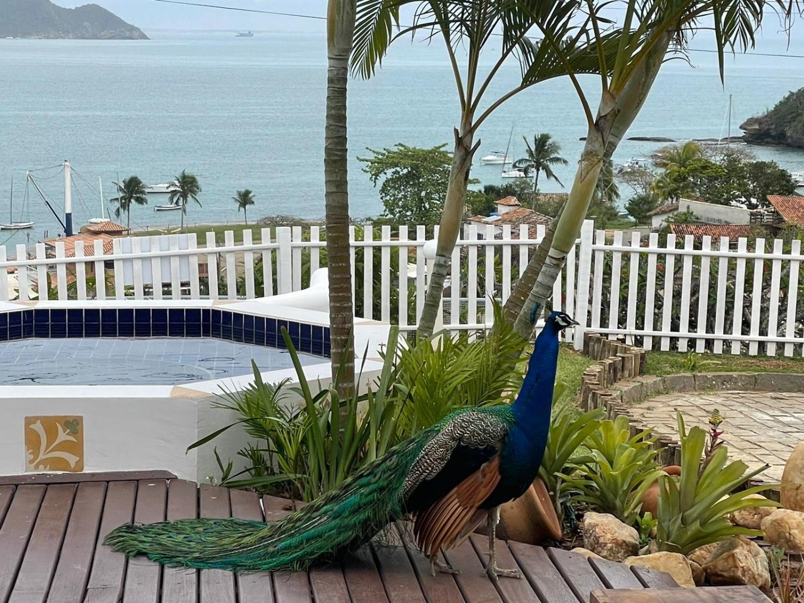 CASA EM JOÃO FERNANDES COM MAGNÍFICA VISTA AL MAR.