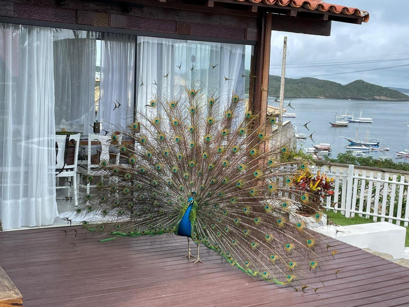 CASA EM JOÃO FERNANDES COM MAGNÍFICA VISTA AL MAR.