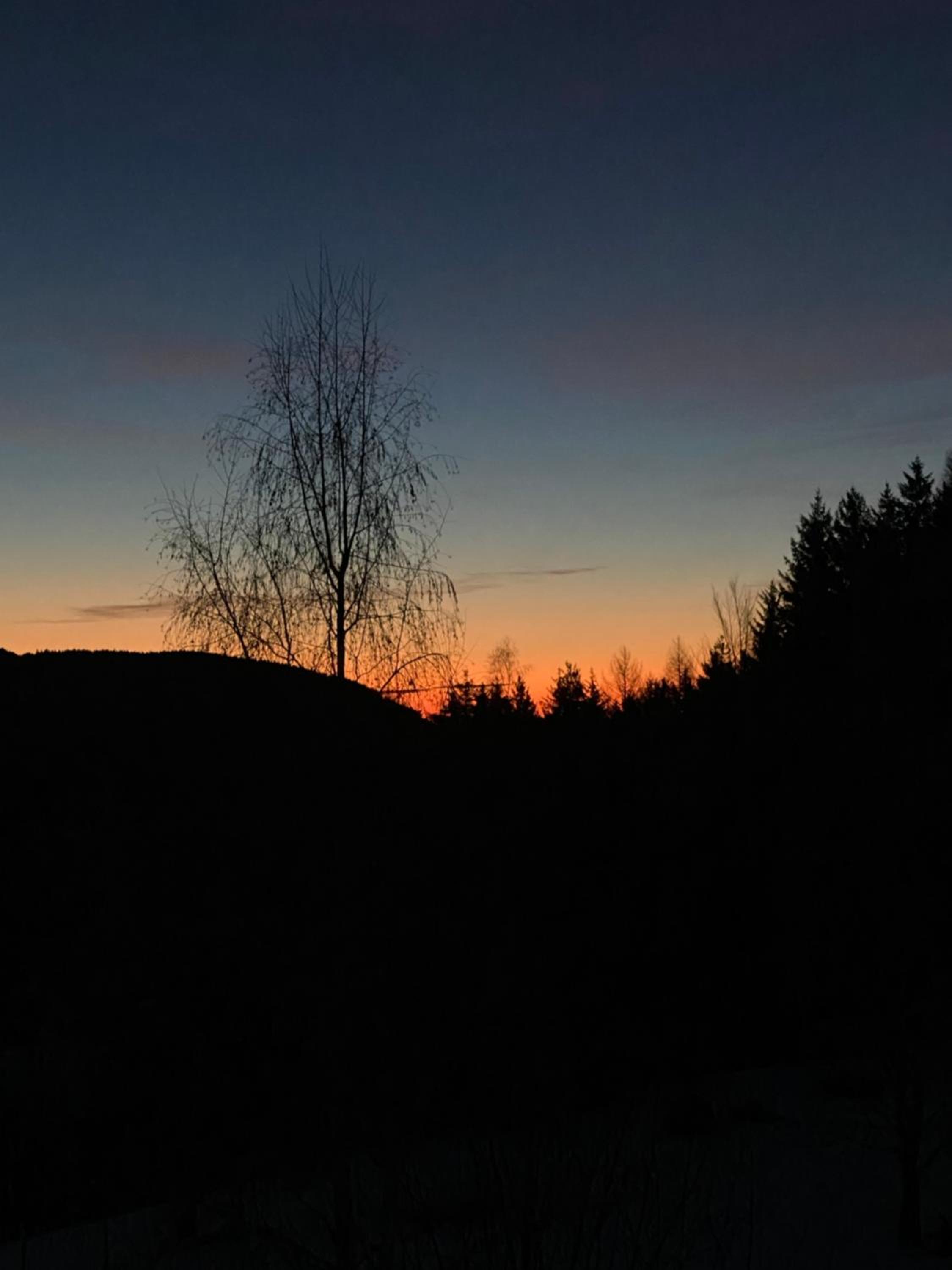 Dein HimmelReich - Ruheoase im Almenland auf 1000m über'm Alltag