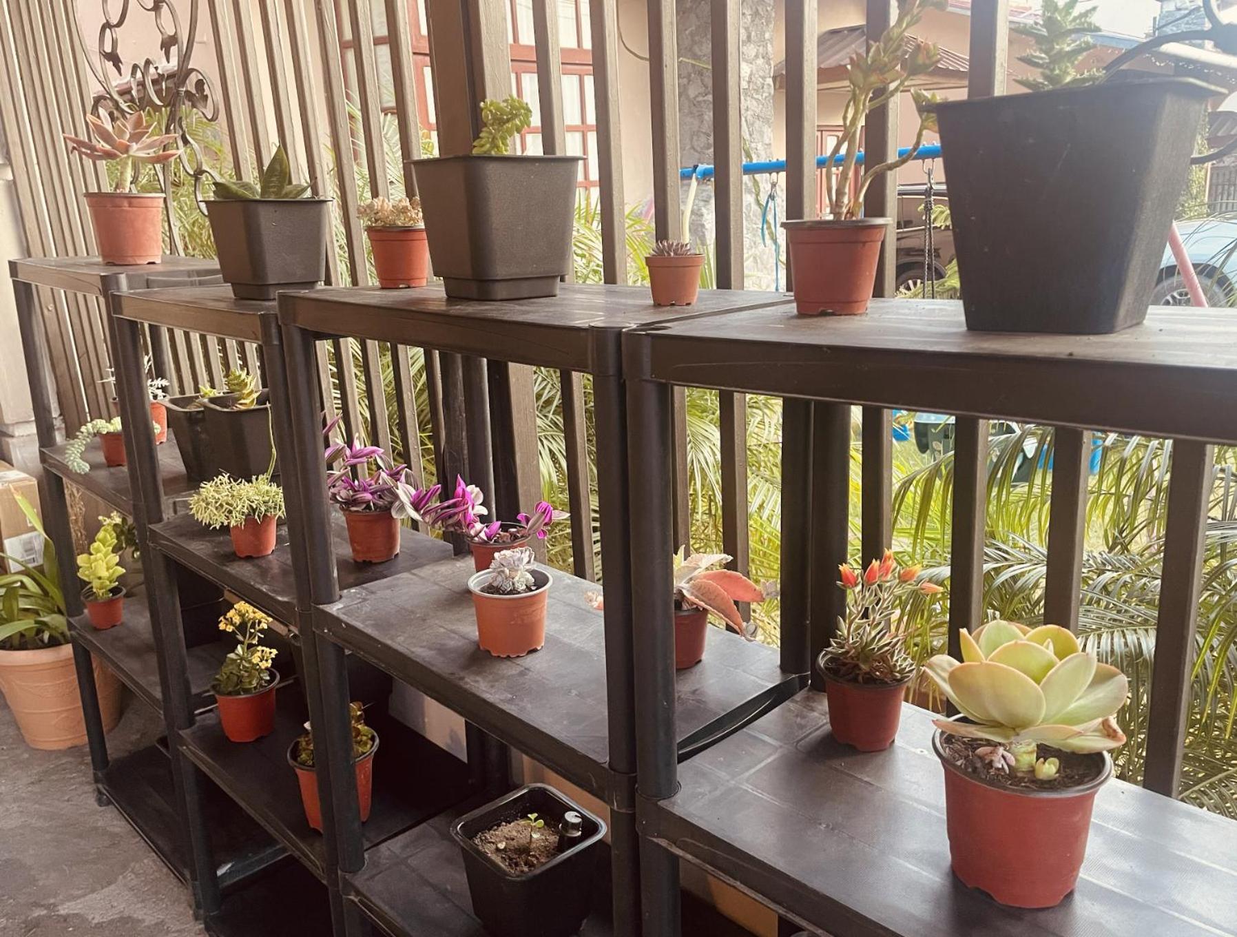 Casa Mia Volcan