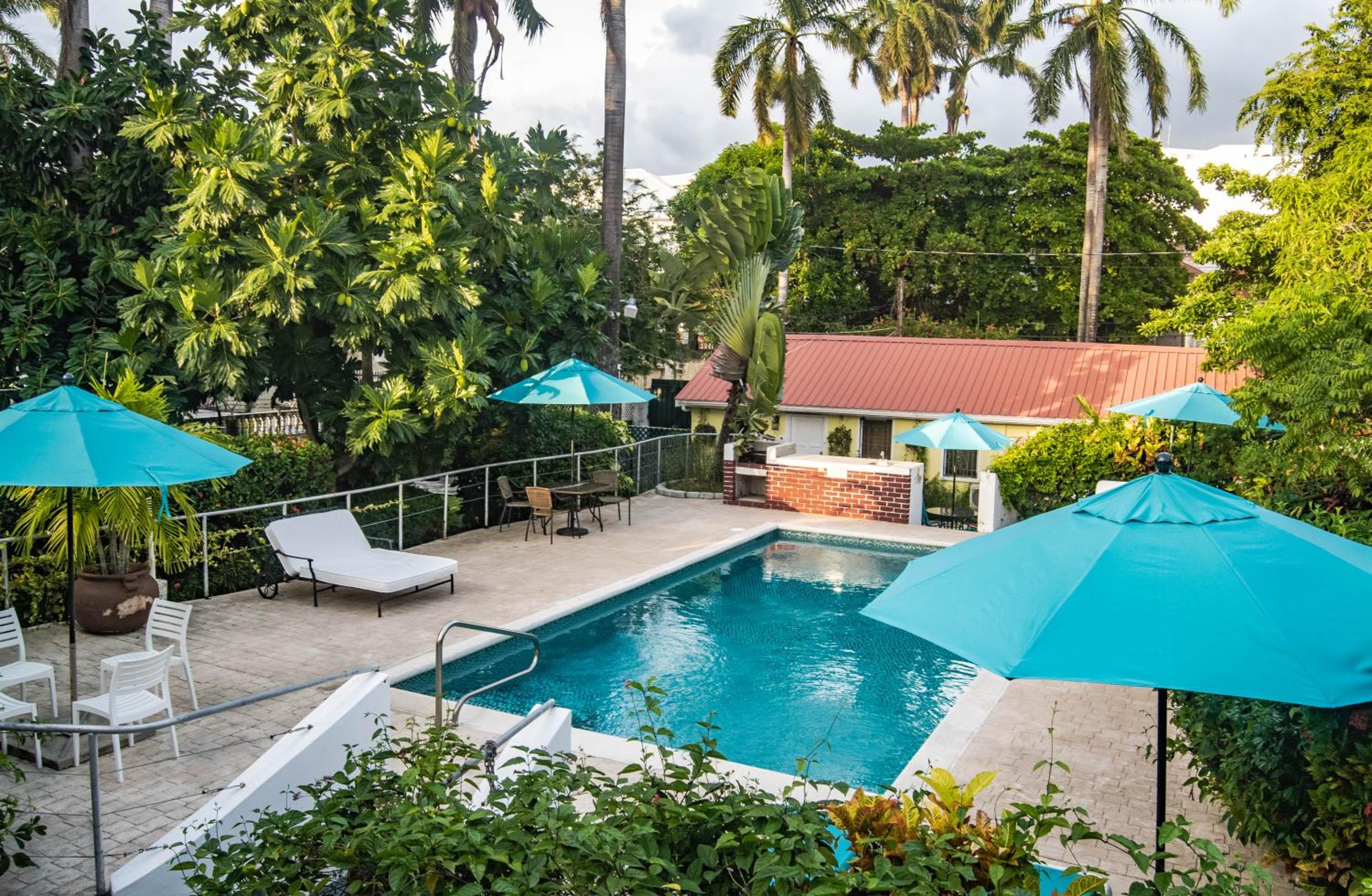 Belize Vacations - Harbour View Boutique Hotel  Wellness Retreat - Property Image 6