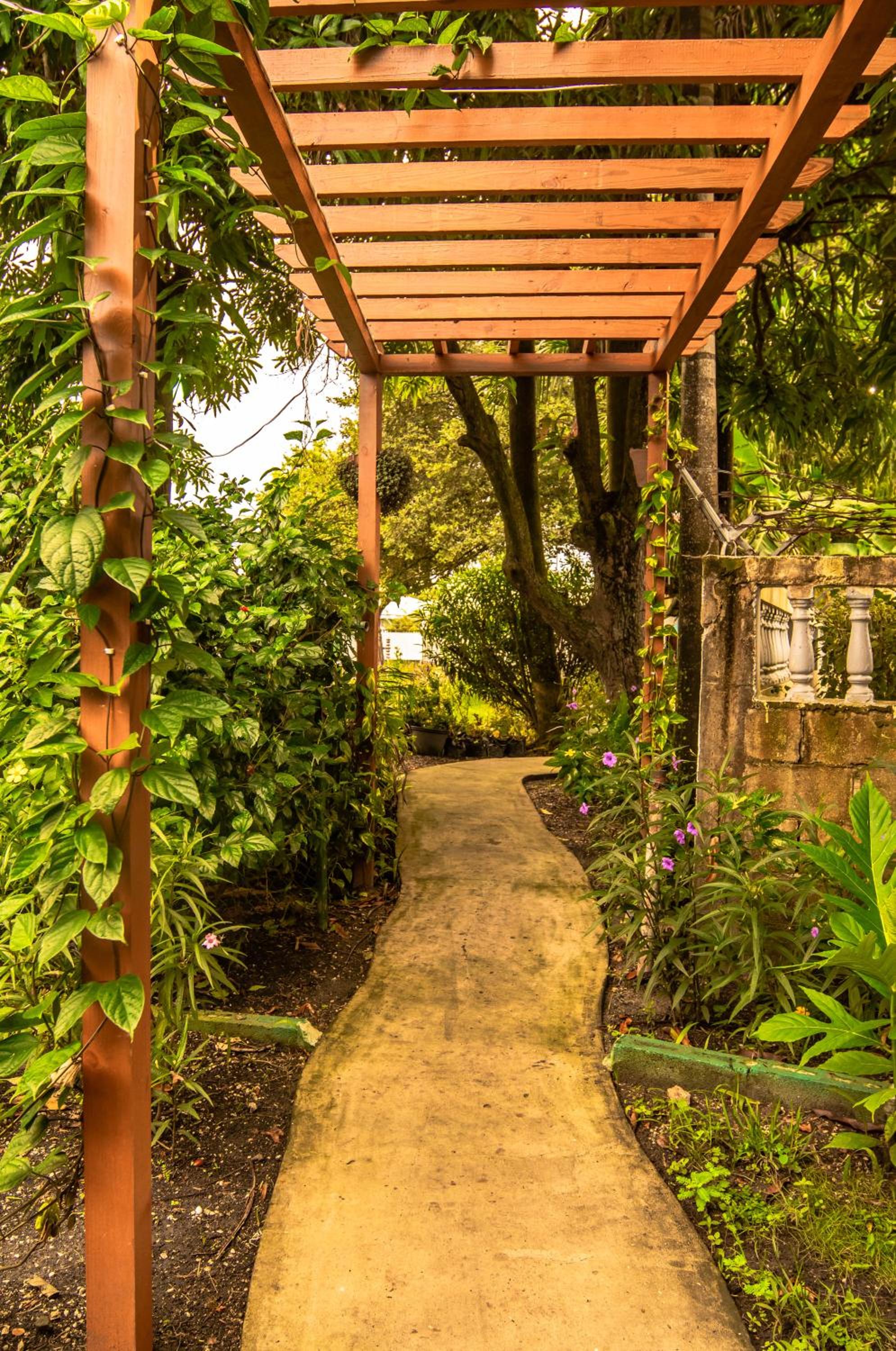 Belize Vacations - Harbour View Boutique Hotel  Wellness Retreat - Property Image 7
