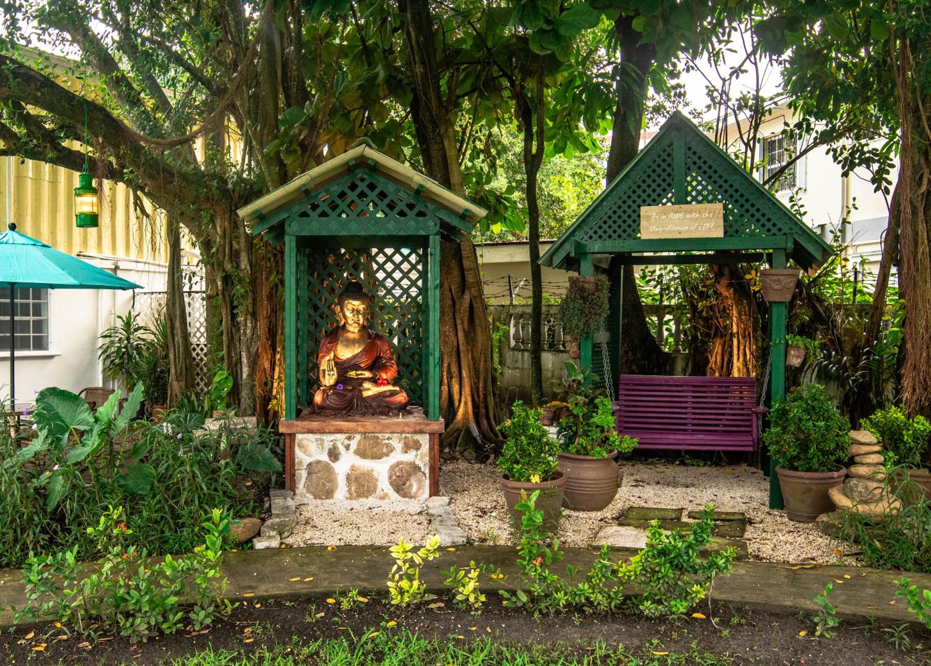 Belize Vacations - Harbour View Boutique Hotel  Wellness Retreat - Property Image 8