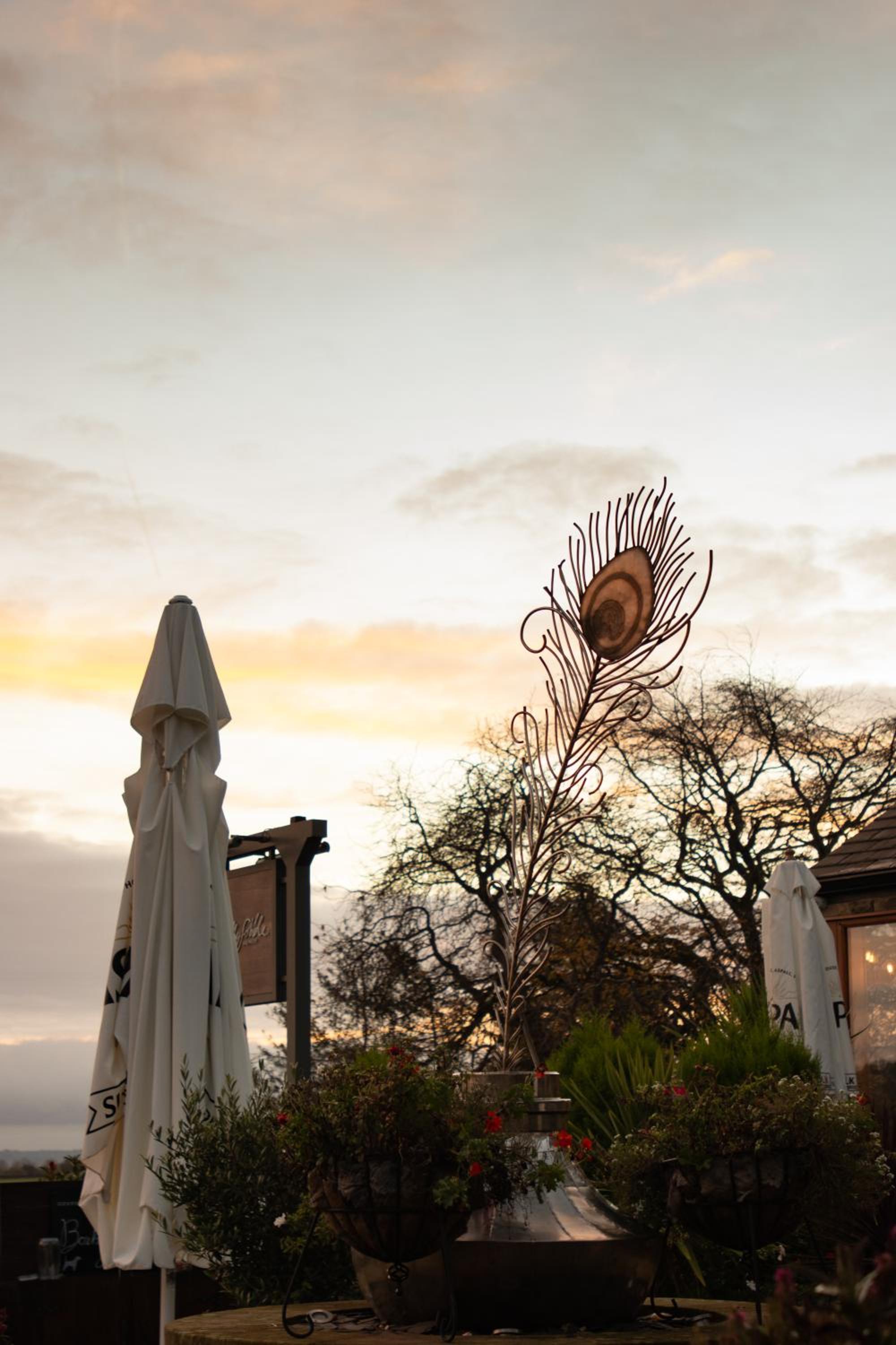 The Peacock at Barlow