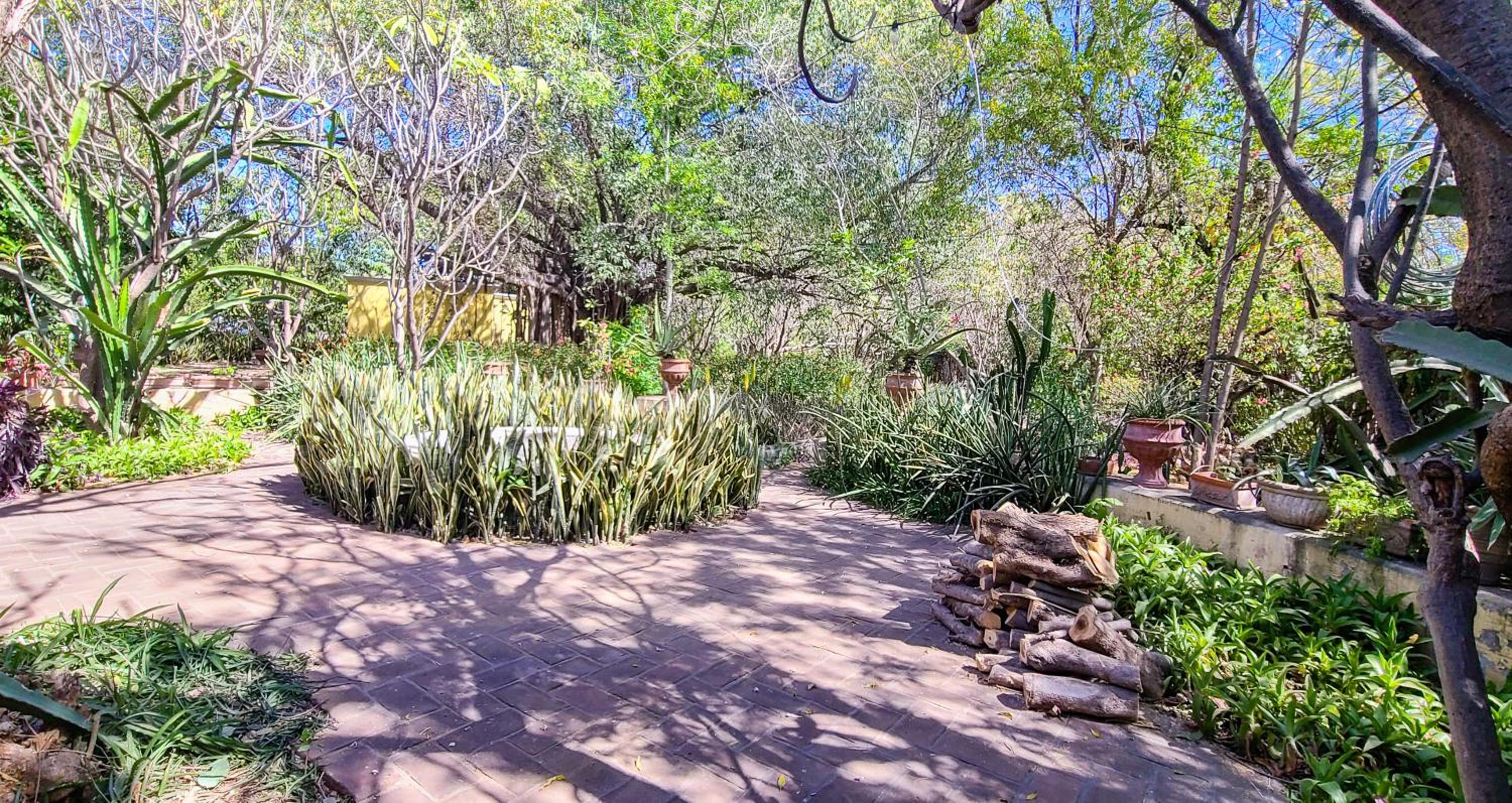 La Quinta en Alamos view 5