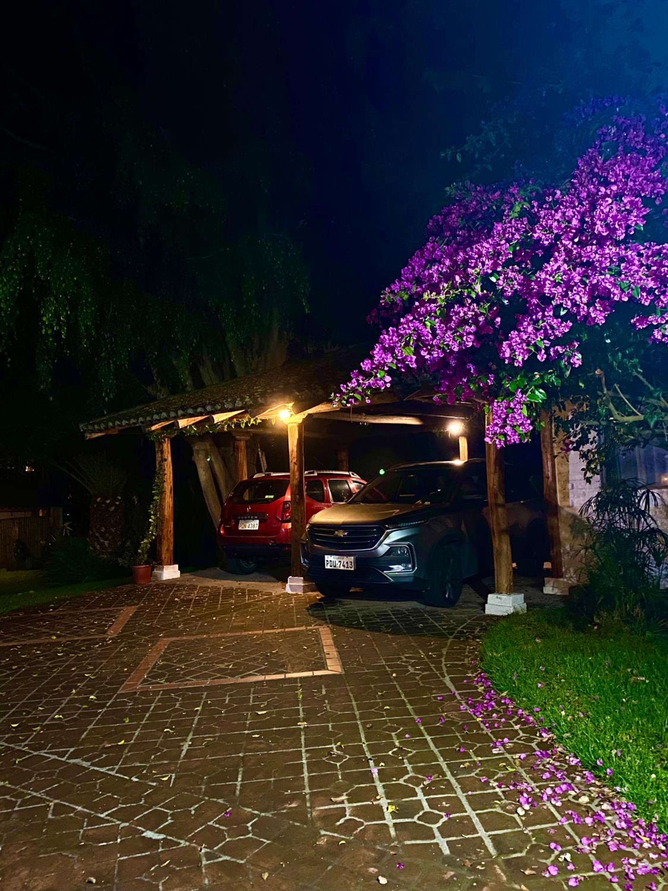 Casa Magnolia view 2