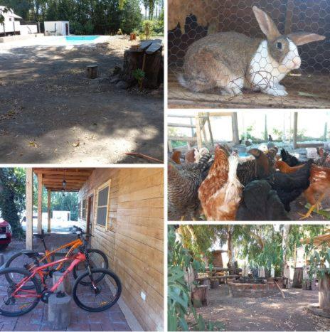 HABITACIÓNES PRIVADAS EN HERMOSA CASA DE CAMPO MALLOA