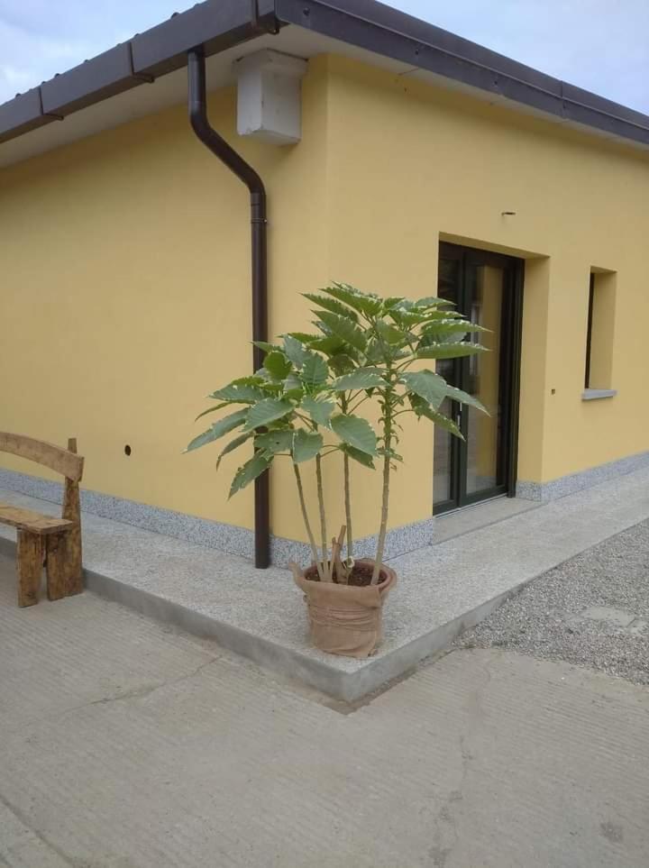 Azienda agrituristica Scotti